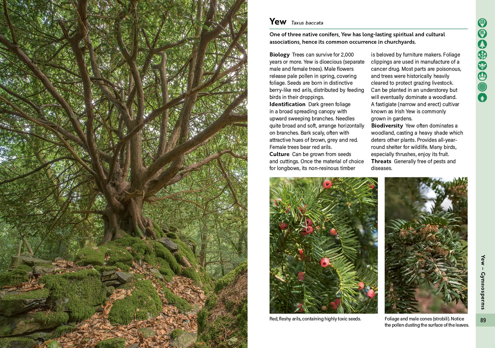 Page Spread