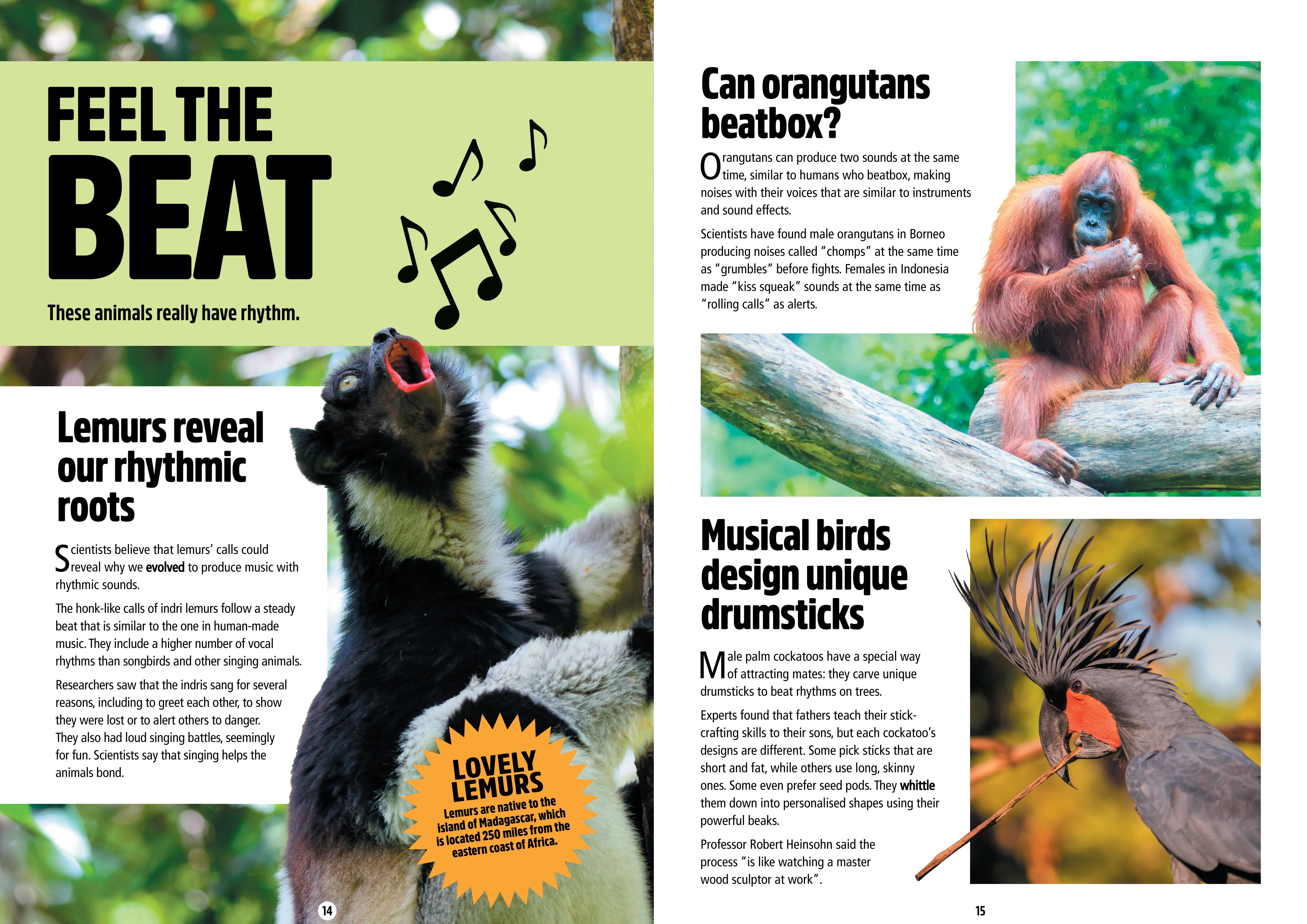 Page Spread