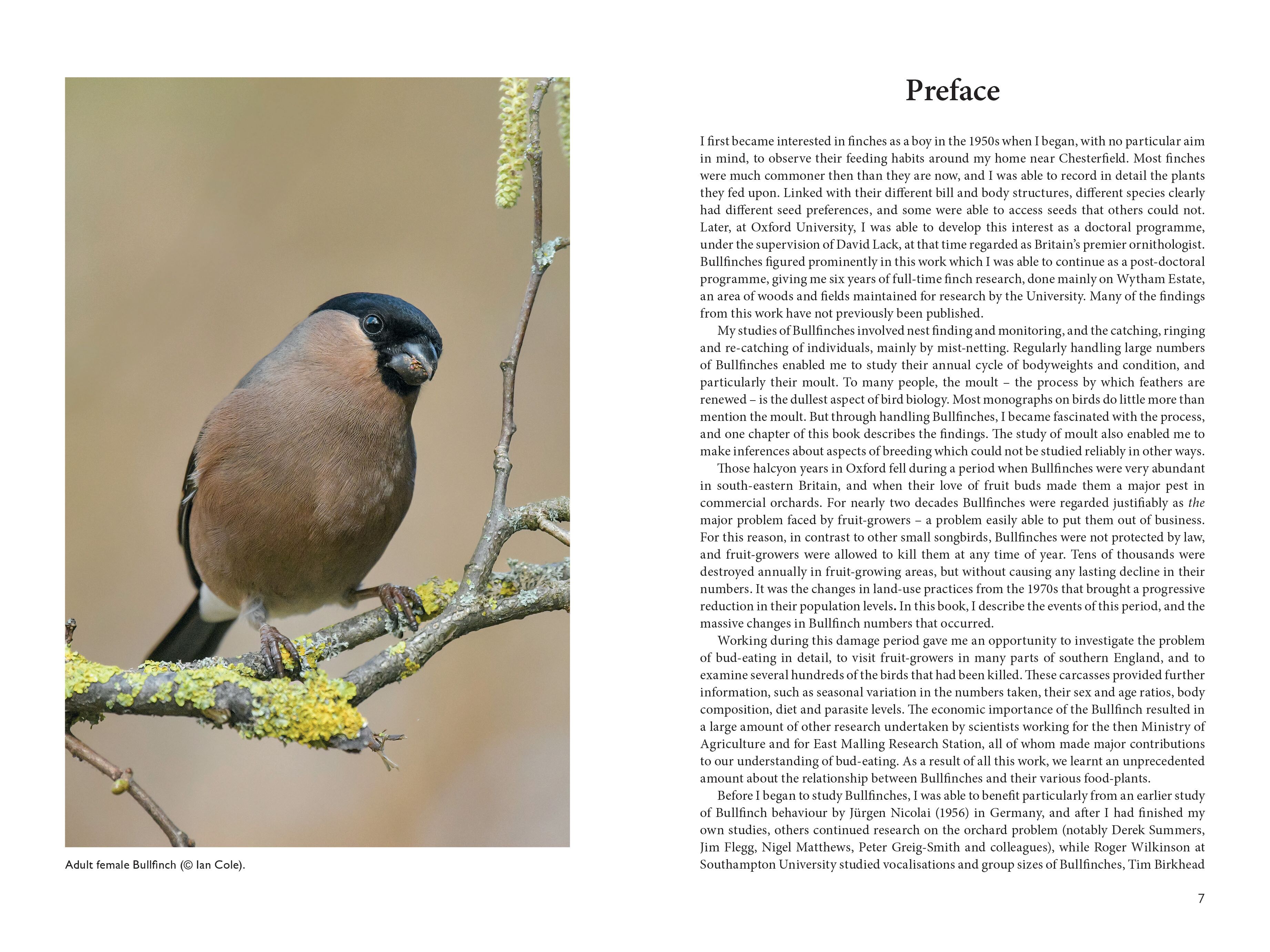 Page Spread