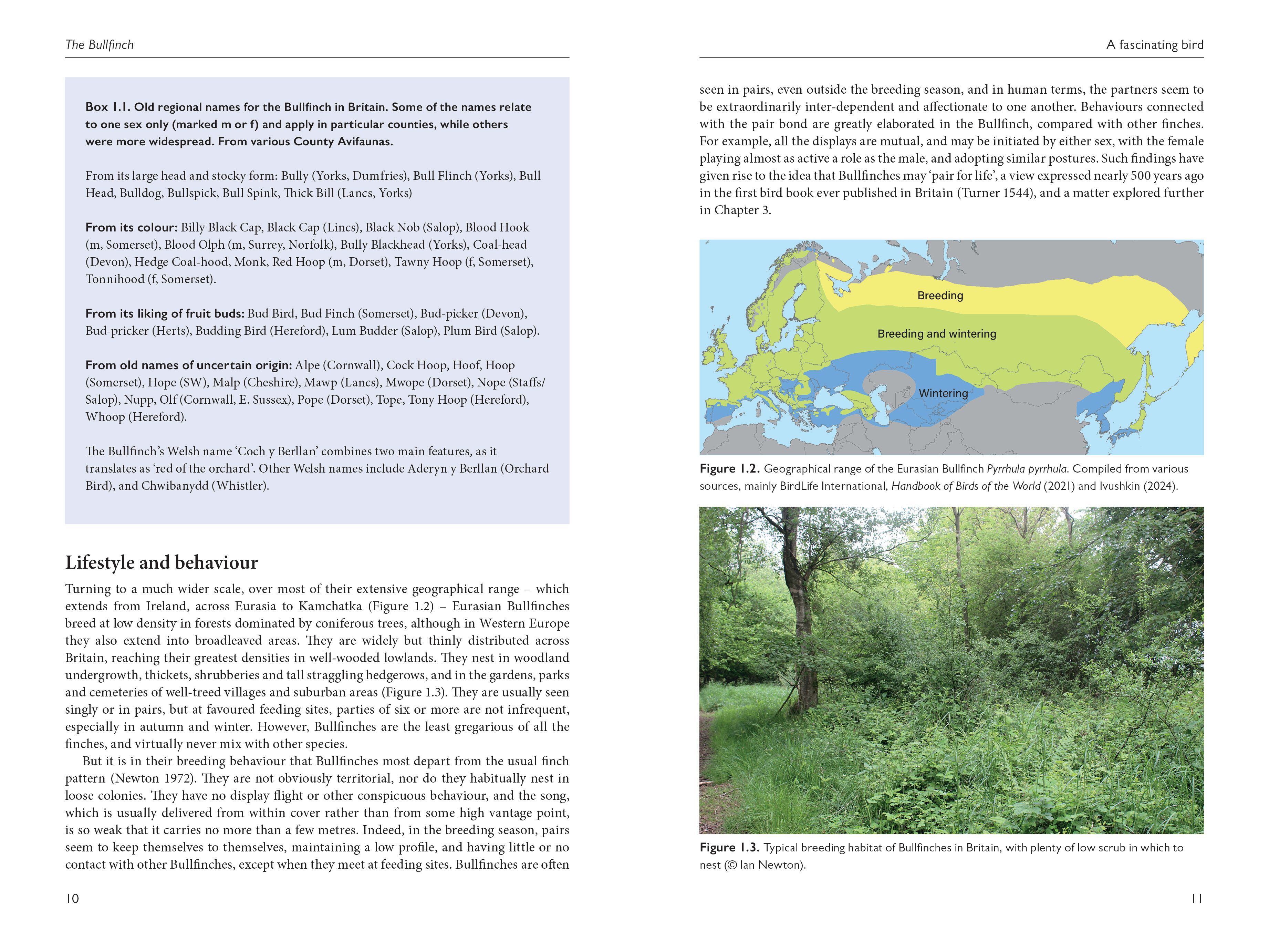 Page Spread