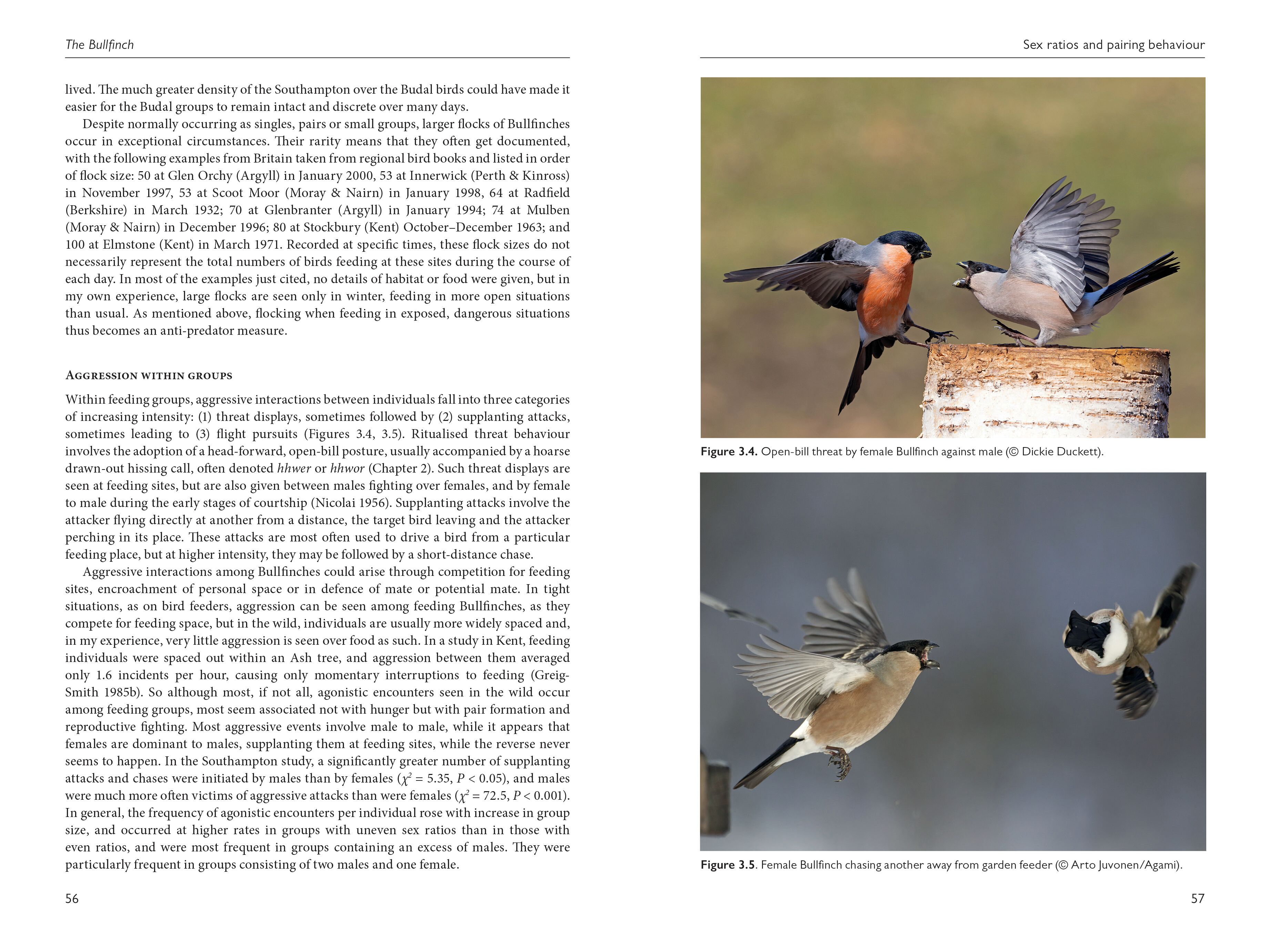 Page Spread