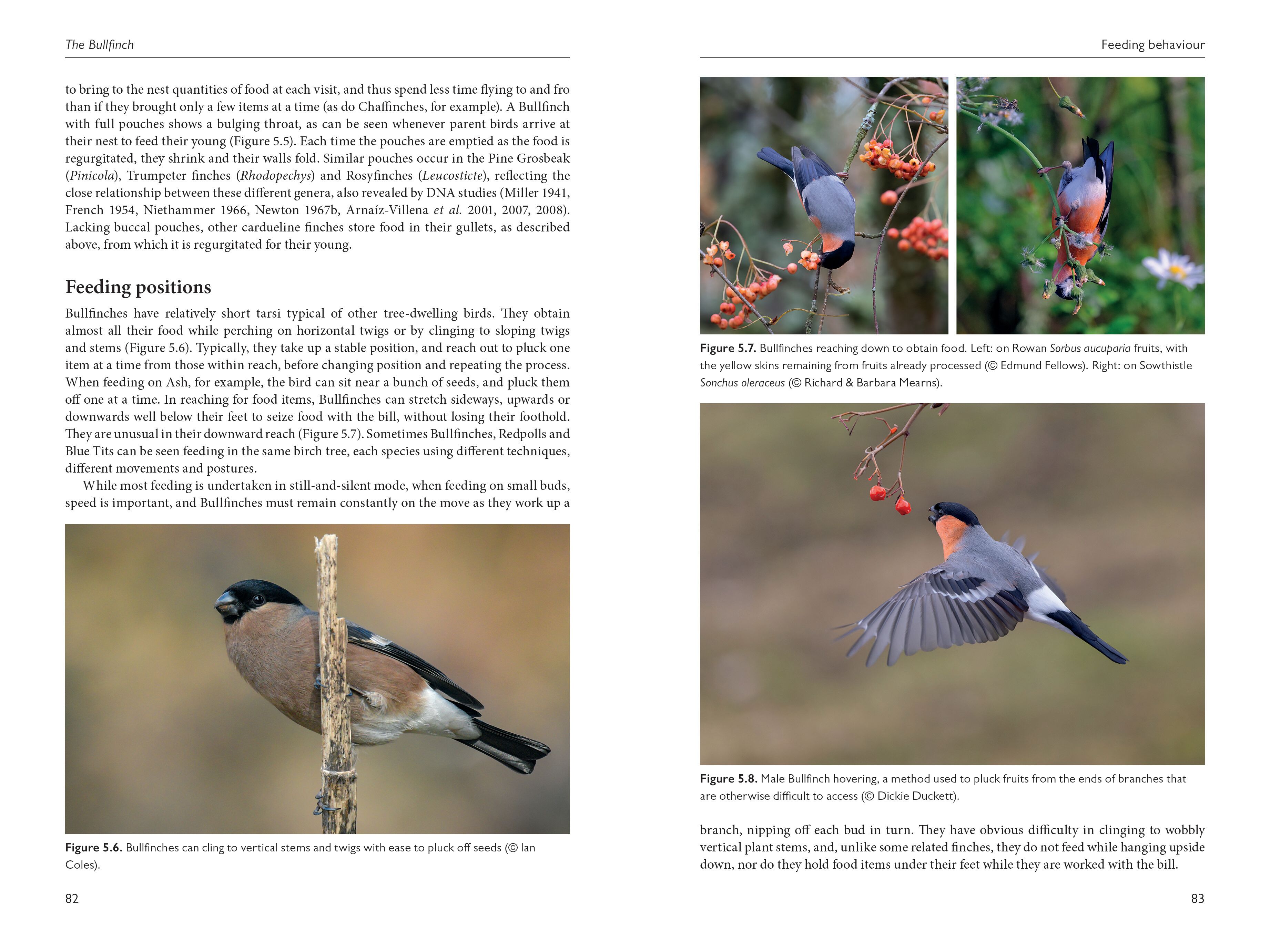 Page Spread