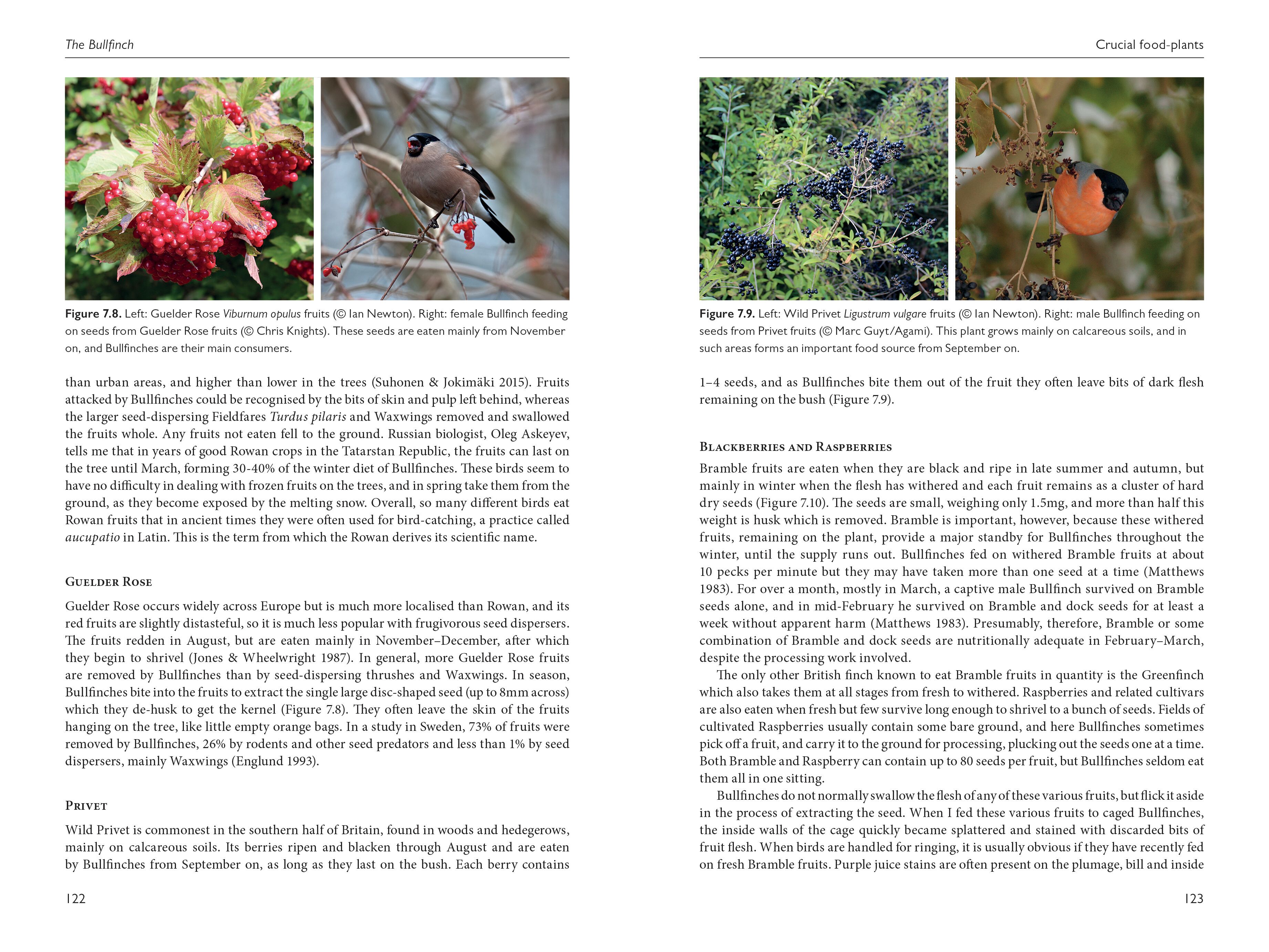Page Spread