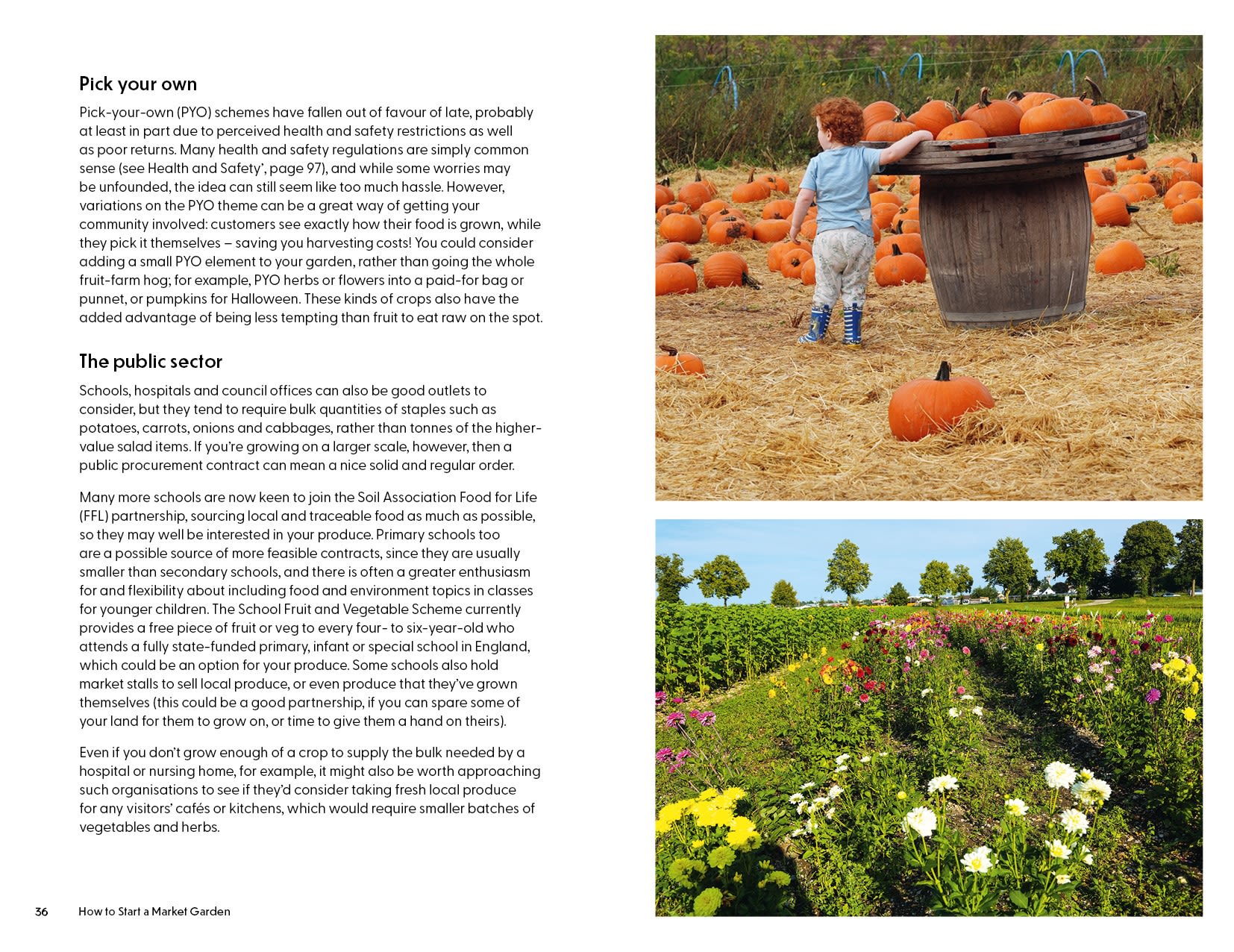 Page Spread