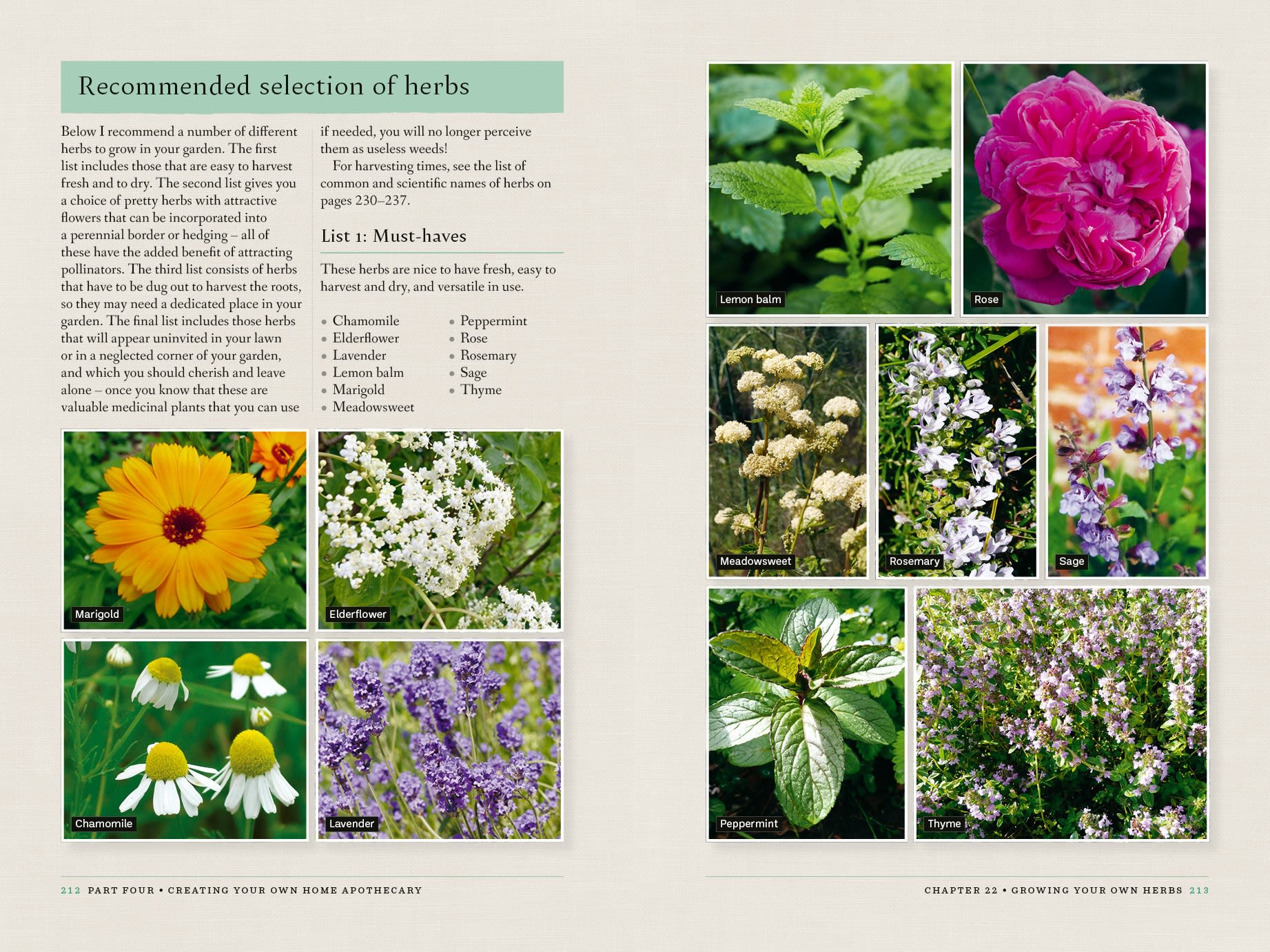 Page Spread