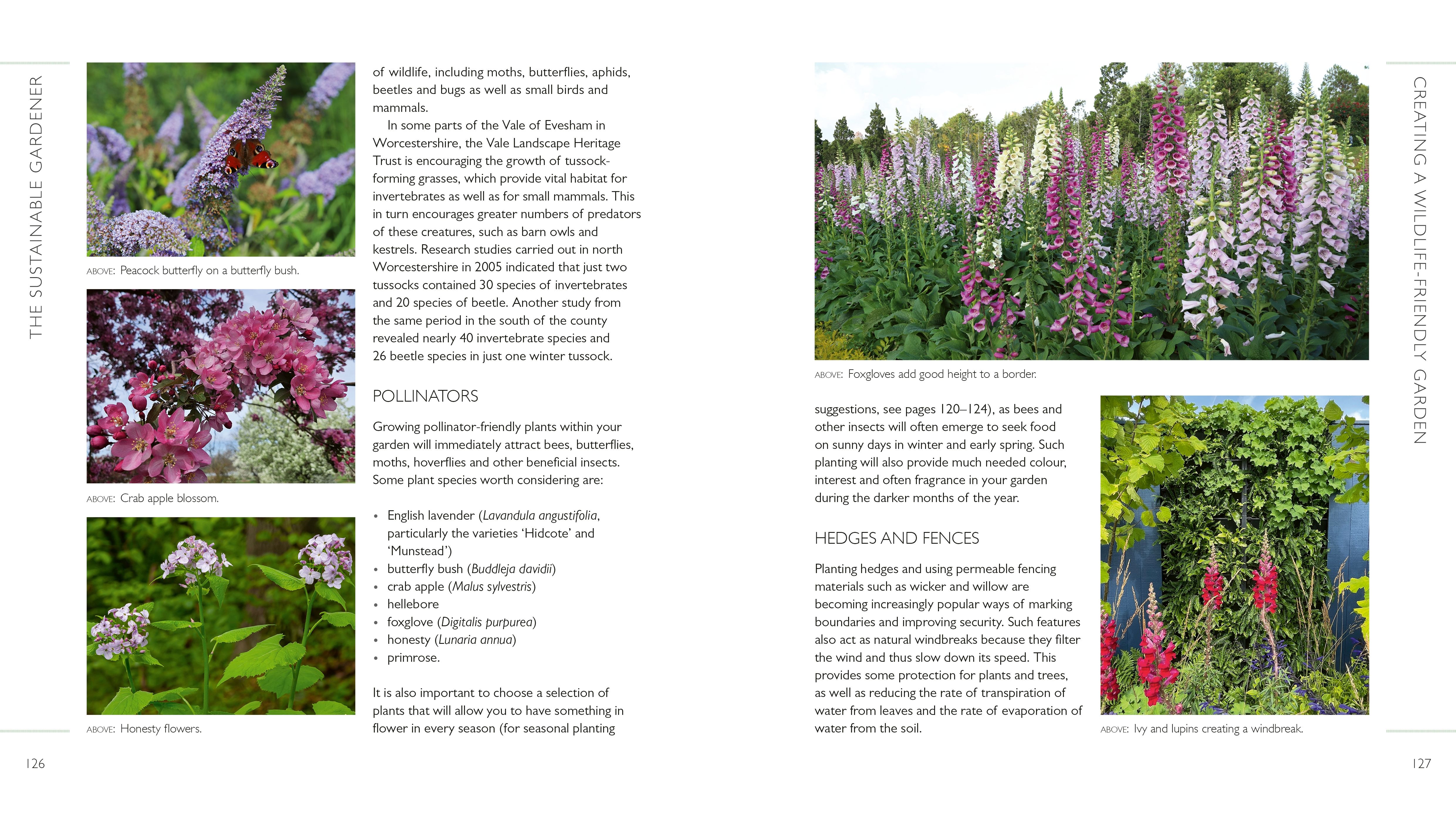 Page Spread