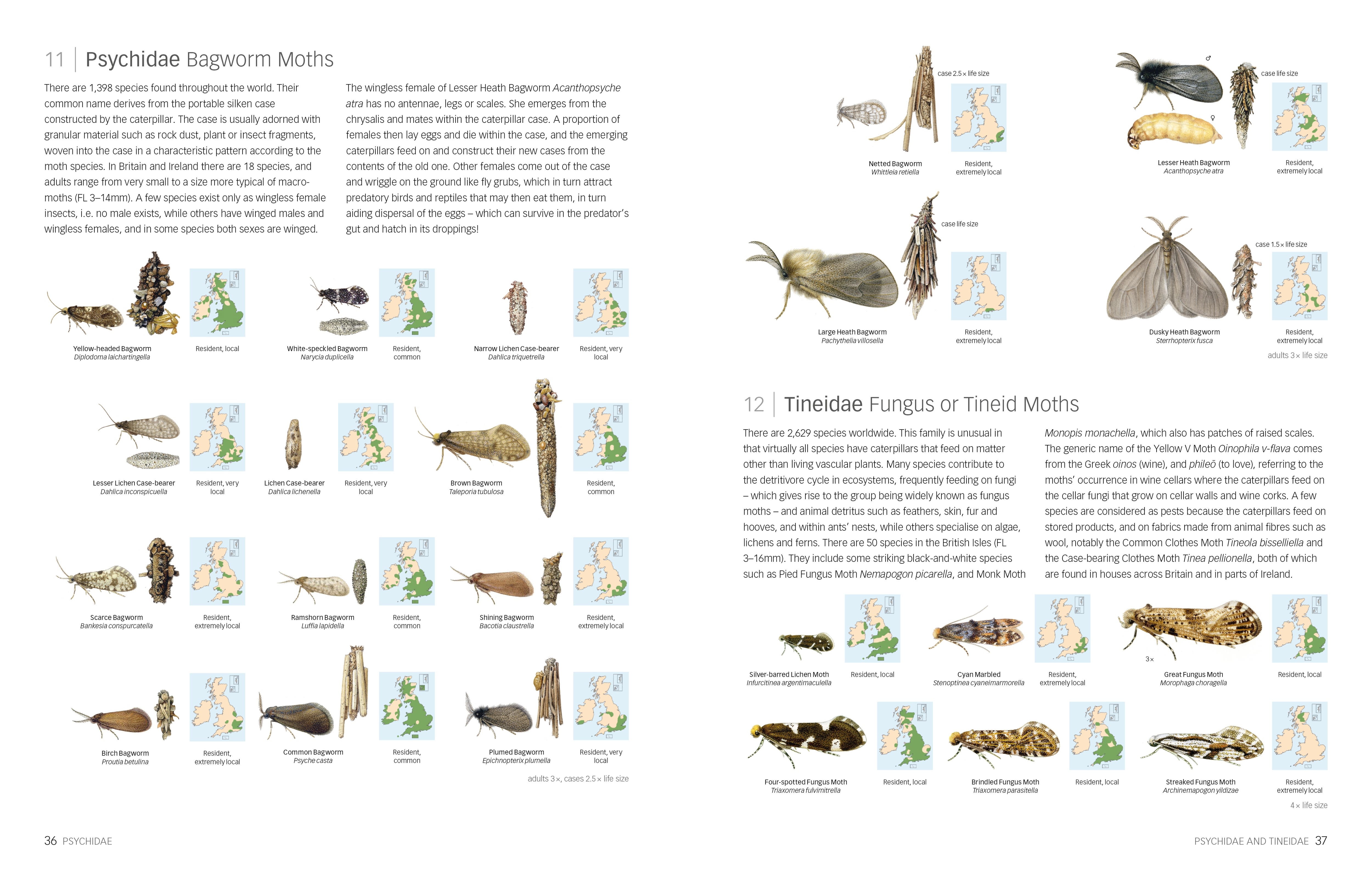 Page Spread