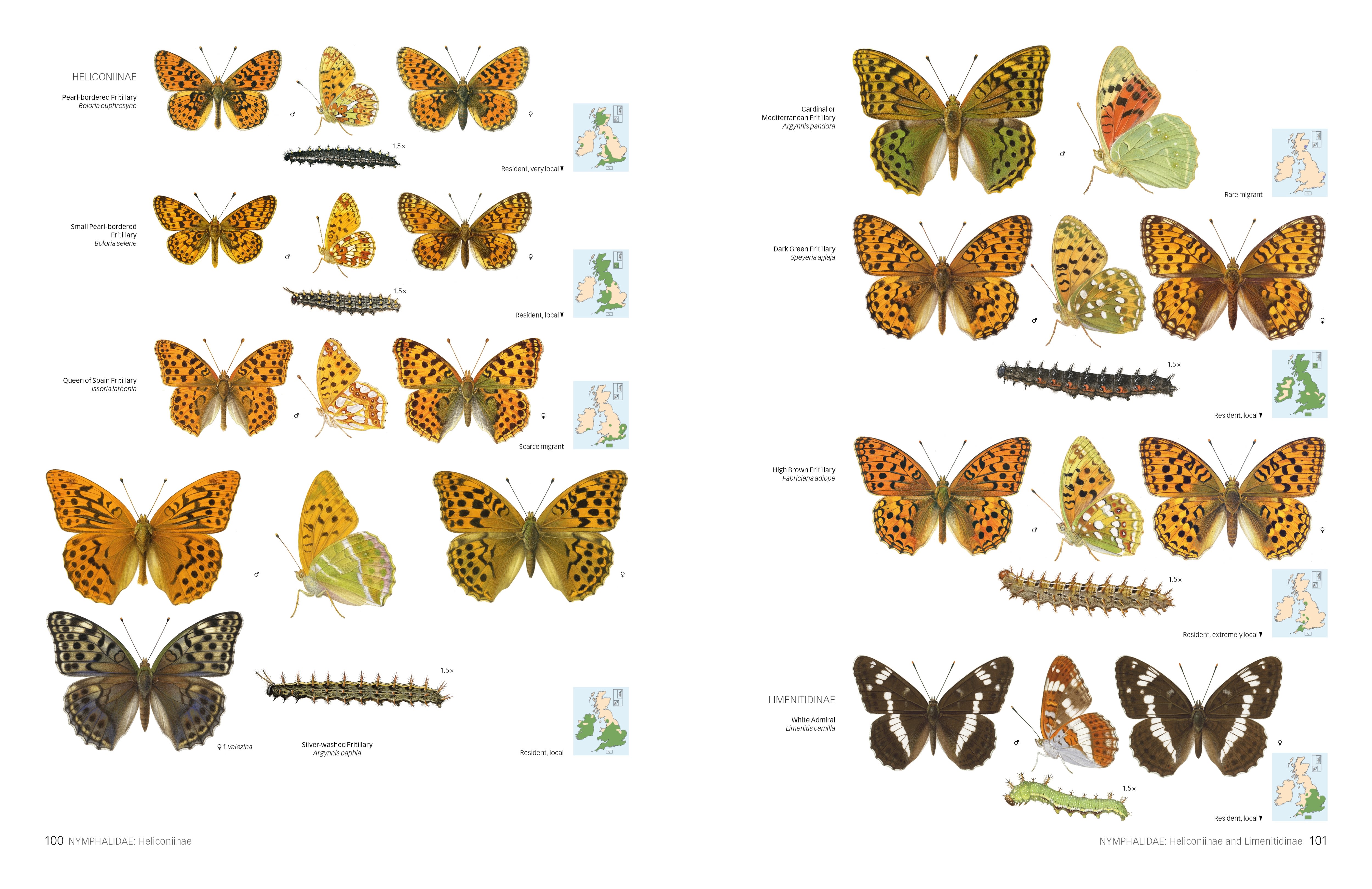 Page Spread