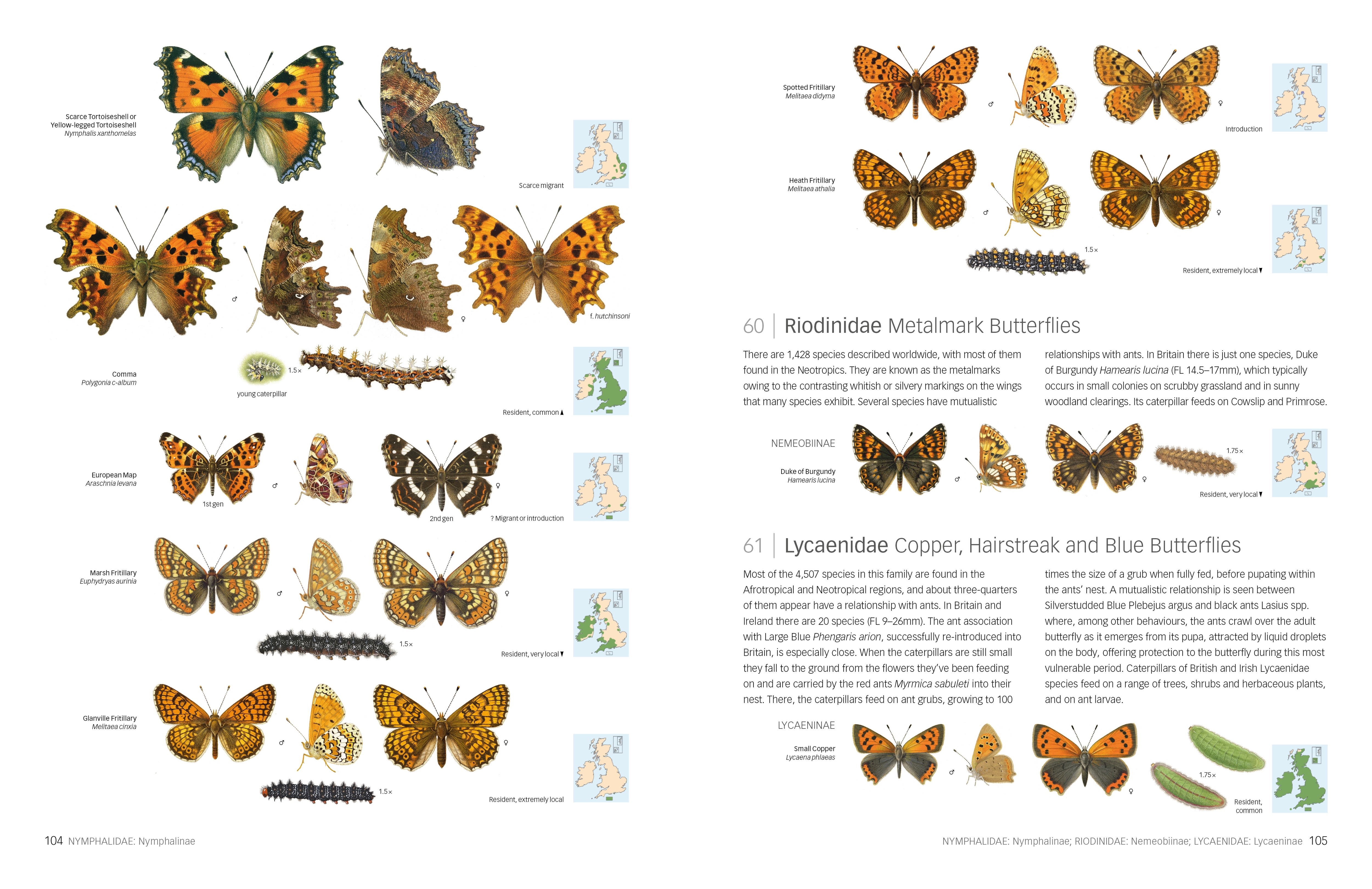 Page Spread