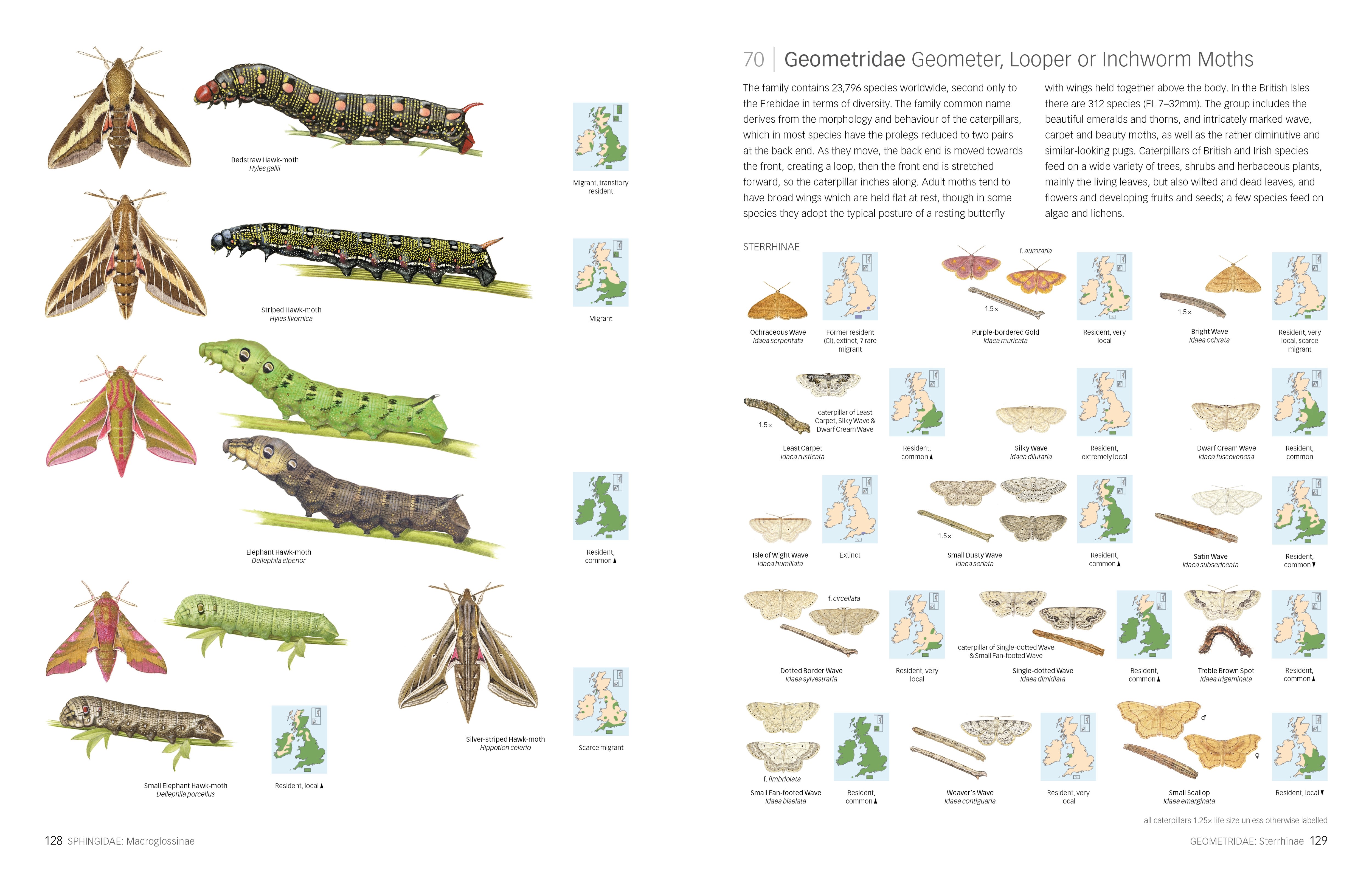 Page Spread