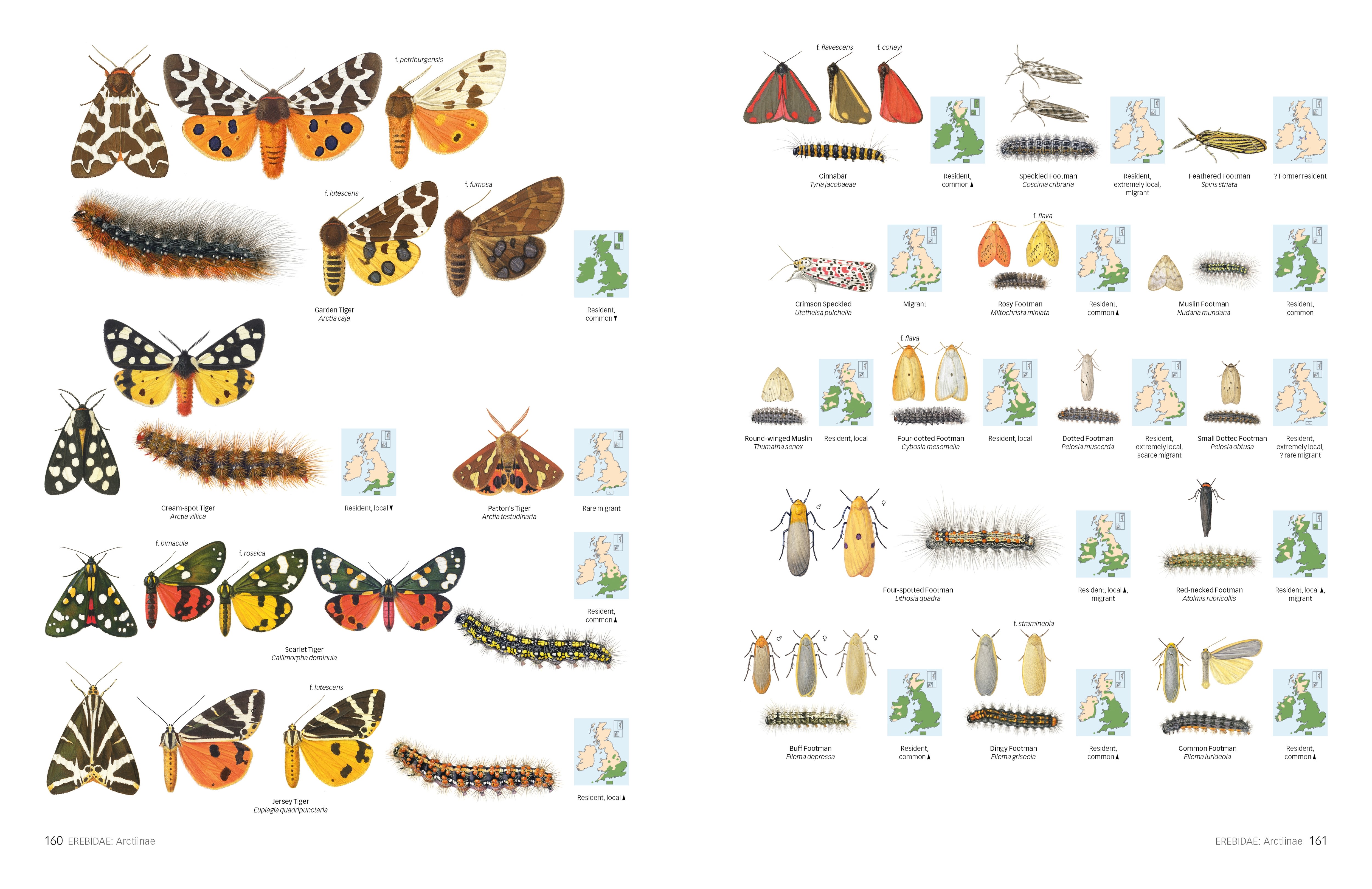 Page Spread