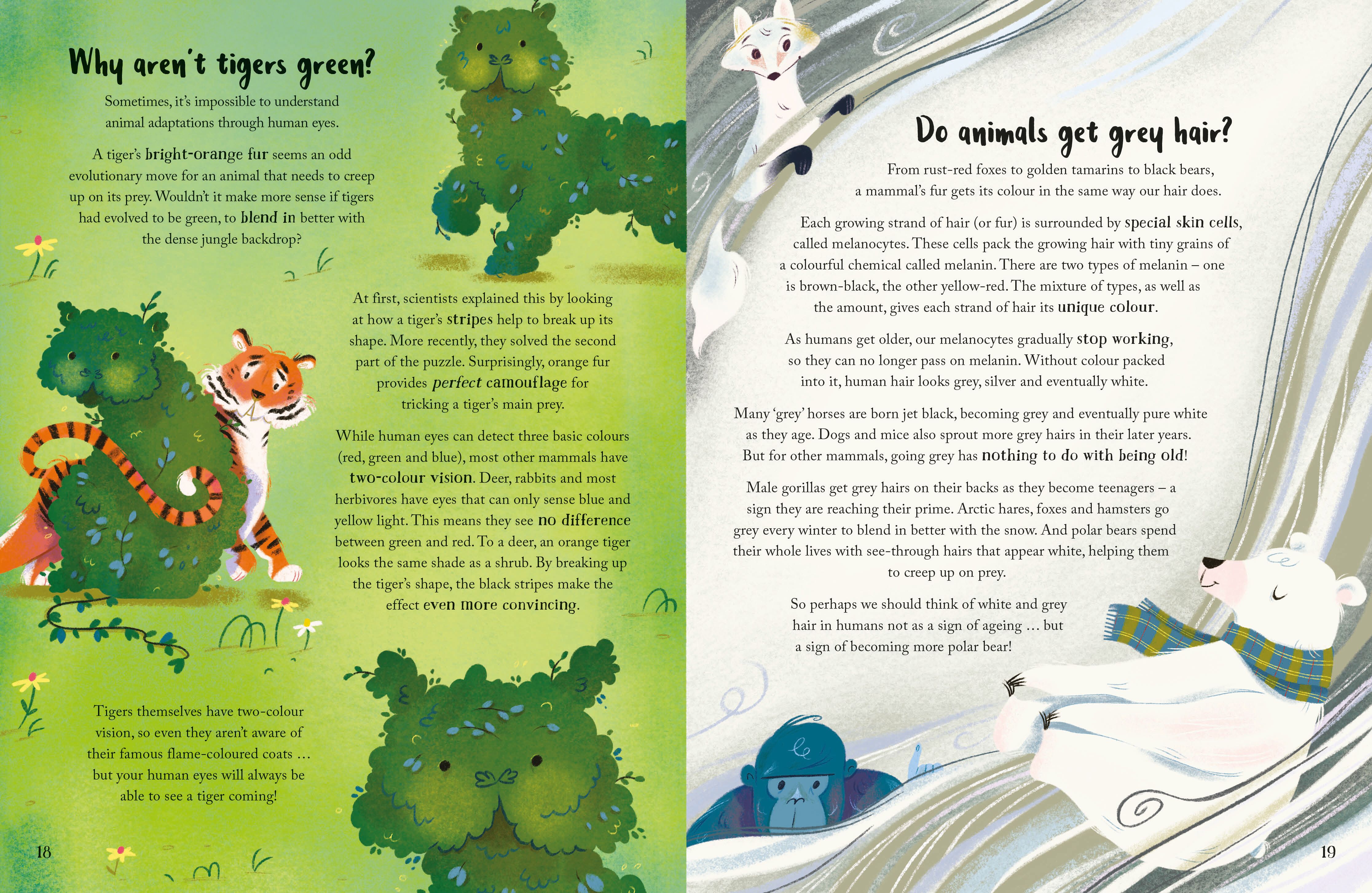 Page Spread