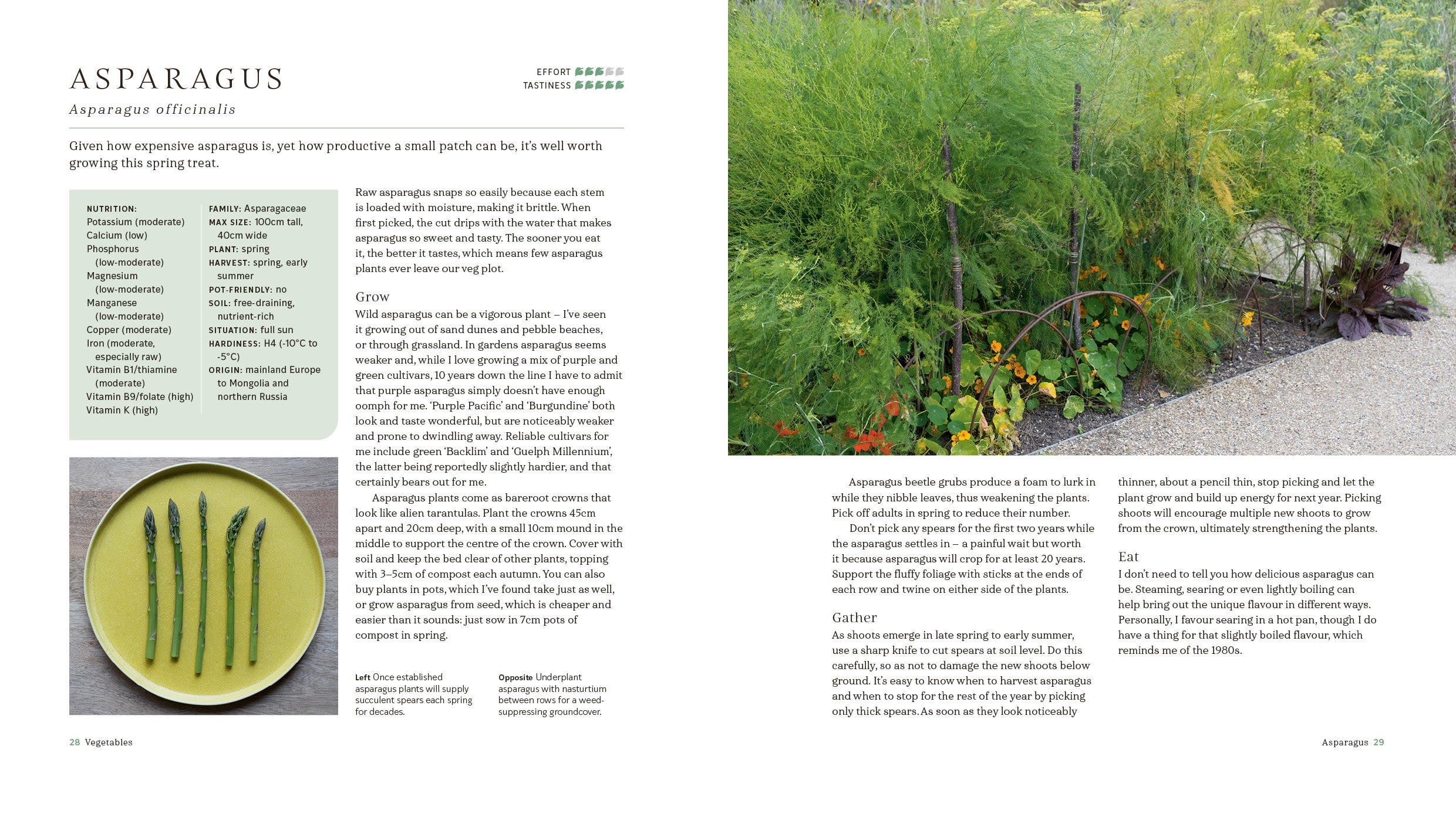 Page Spread