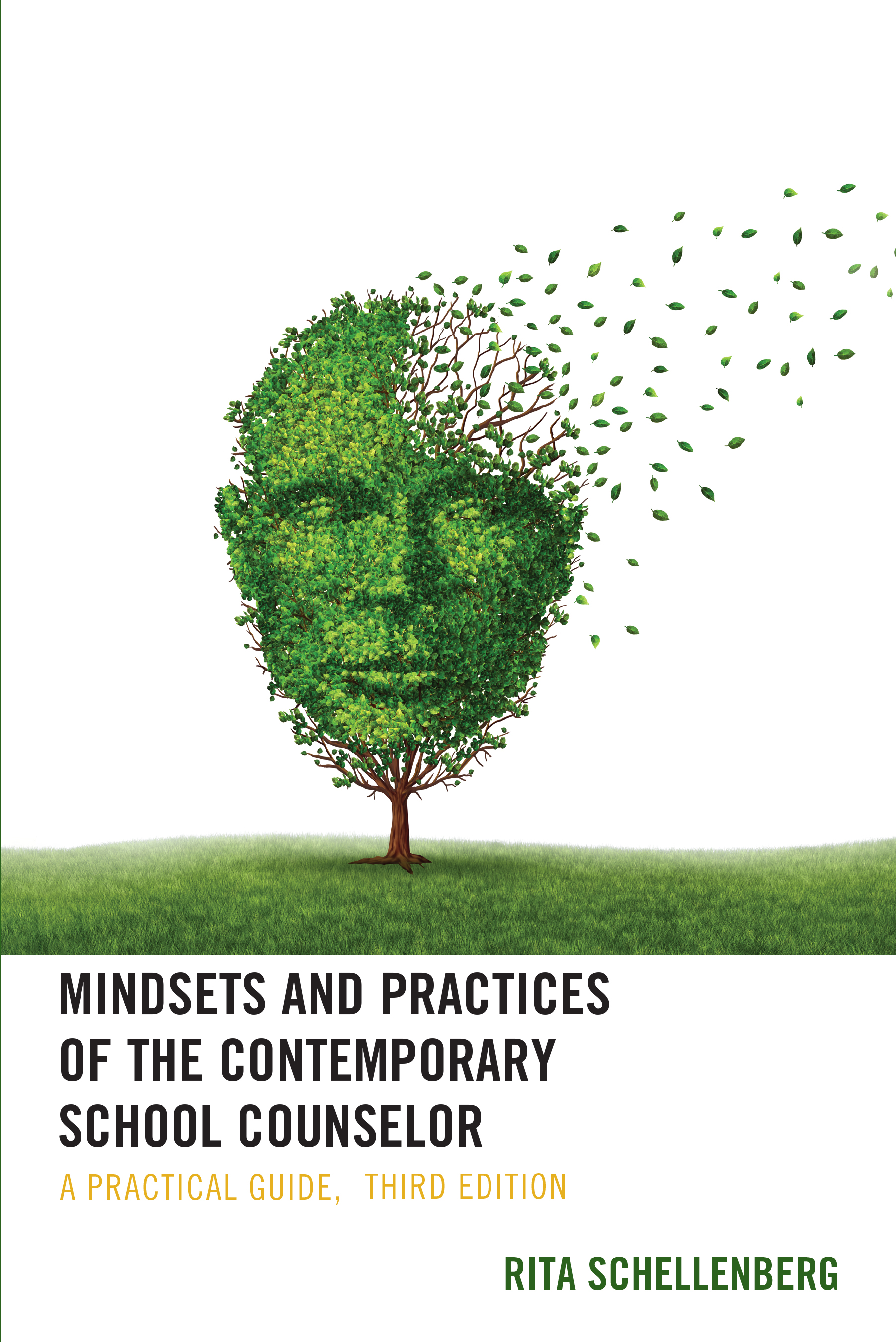 Mindsets and Practices of the Contemporary School Counselor: A Practical Guide, 3rd Edition cover