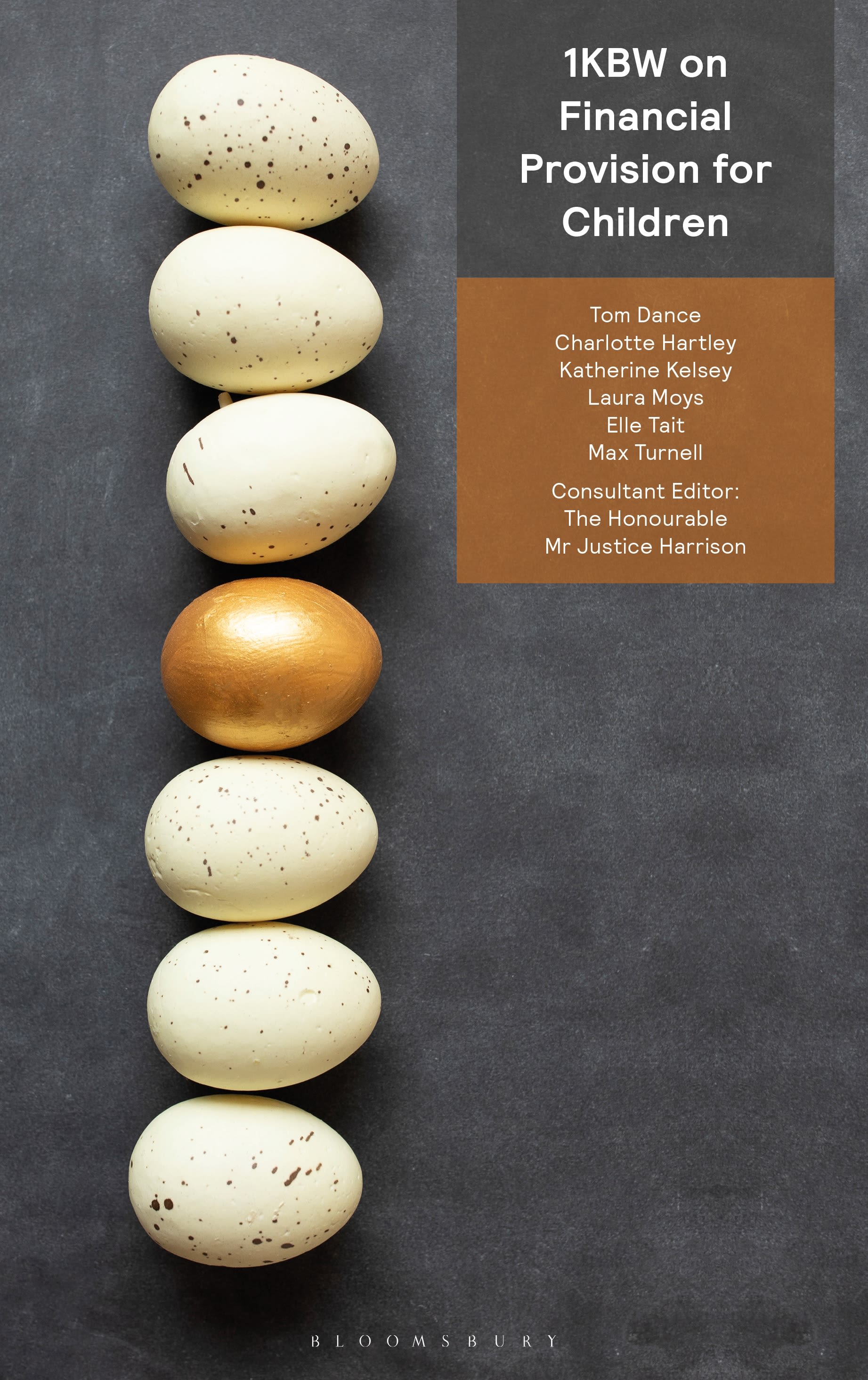 1KBW on Financial Provision for Children book cover