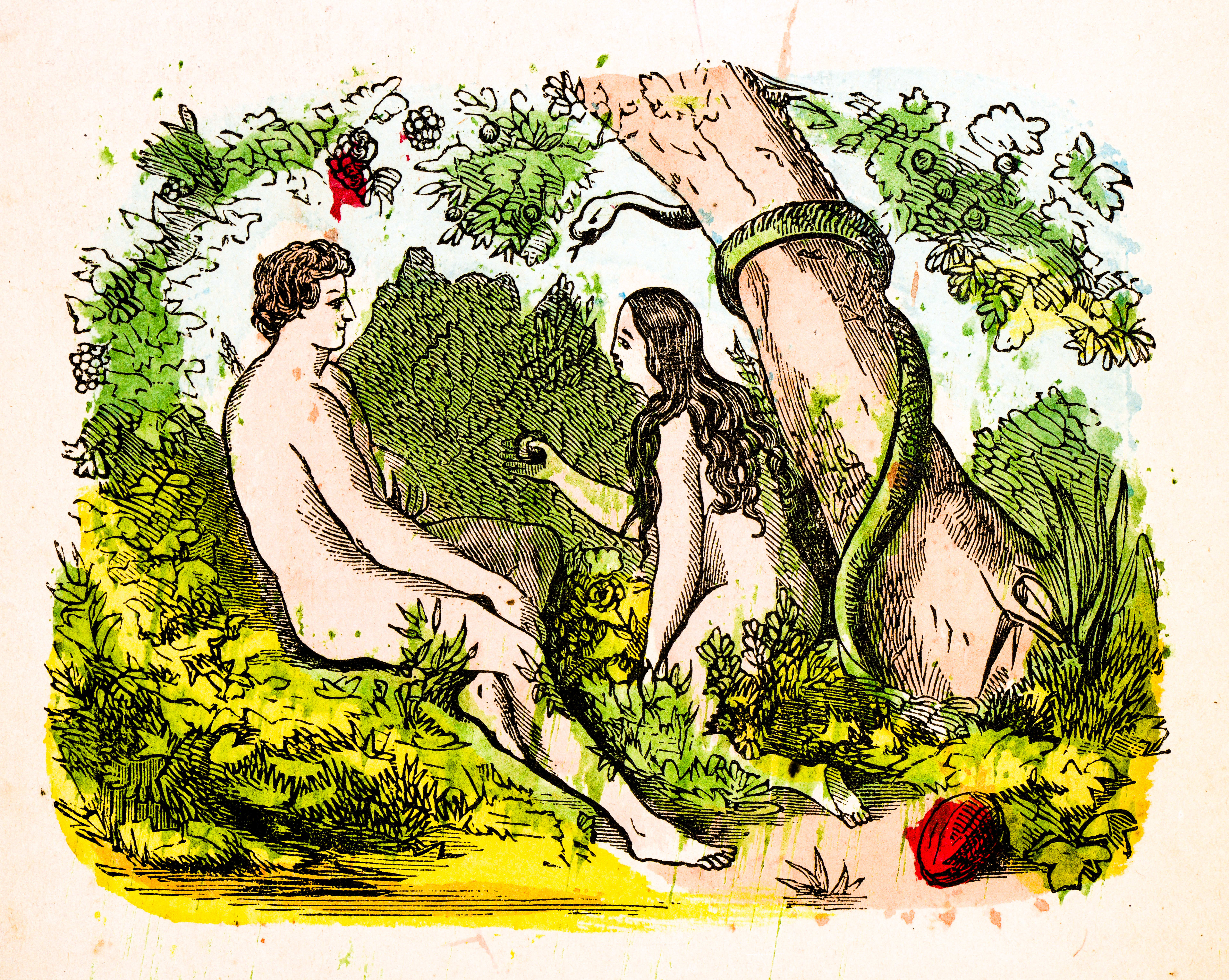 Drawing of Adam and Eve (Image Credit: ilbusca via Getty Images)