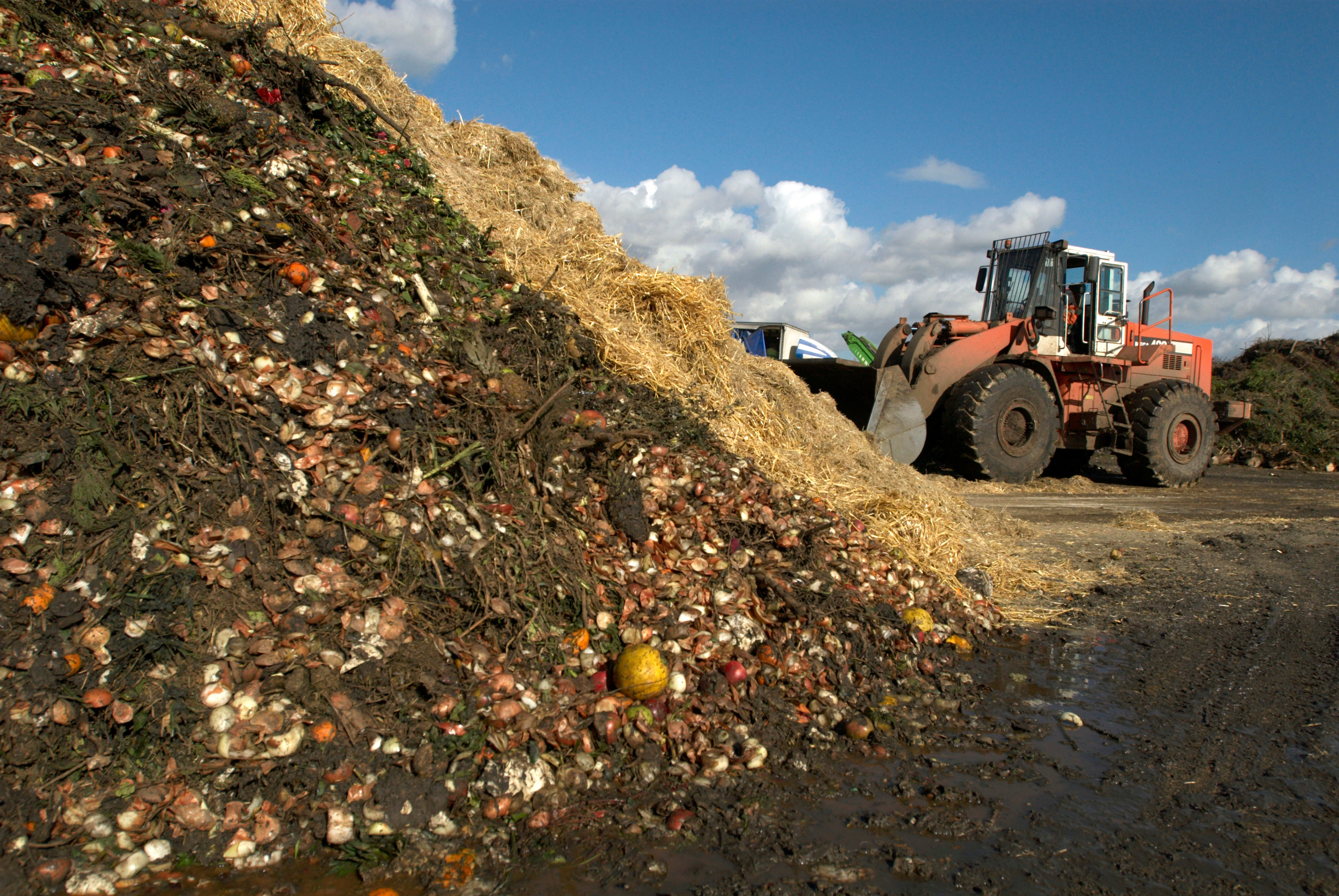 Piles of discarded fruit lie on the ground at the Shelford Landfill, Recycling & Composting Centre on August 23, 2007 near Canterbury, England. 