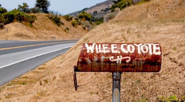 Blog post - Wile E. Coyote: The Underdog in Visual Storytelling