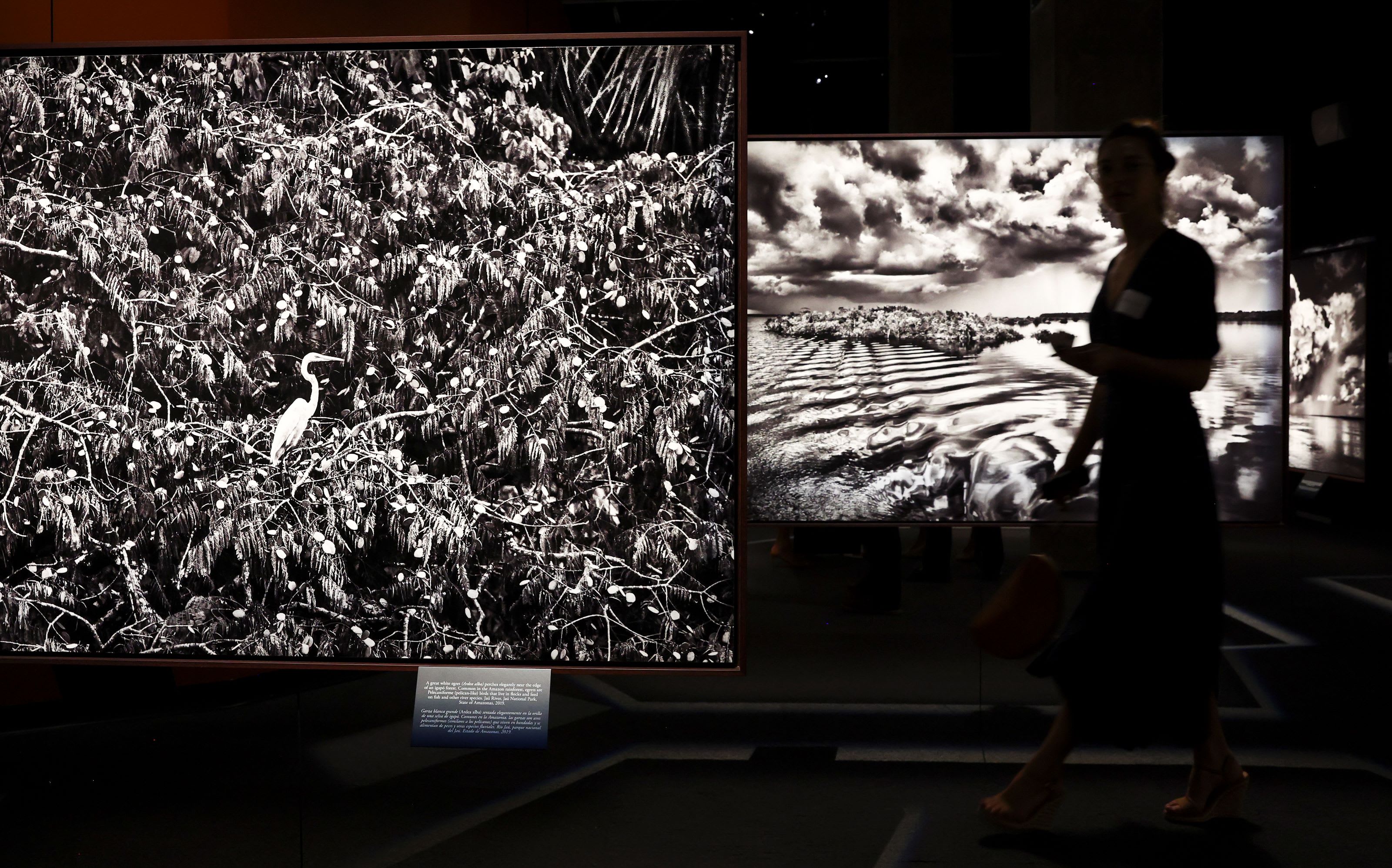 Photographic generes