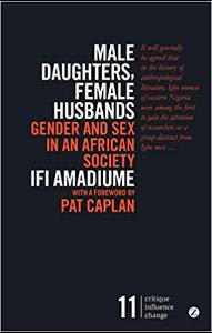 Male Daughters, Female Husbands book cover