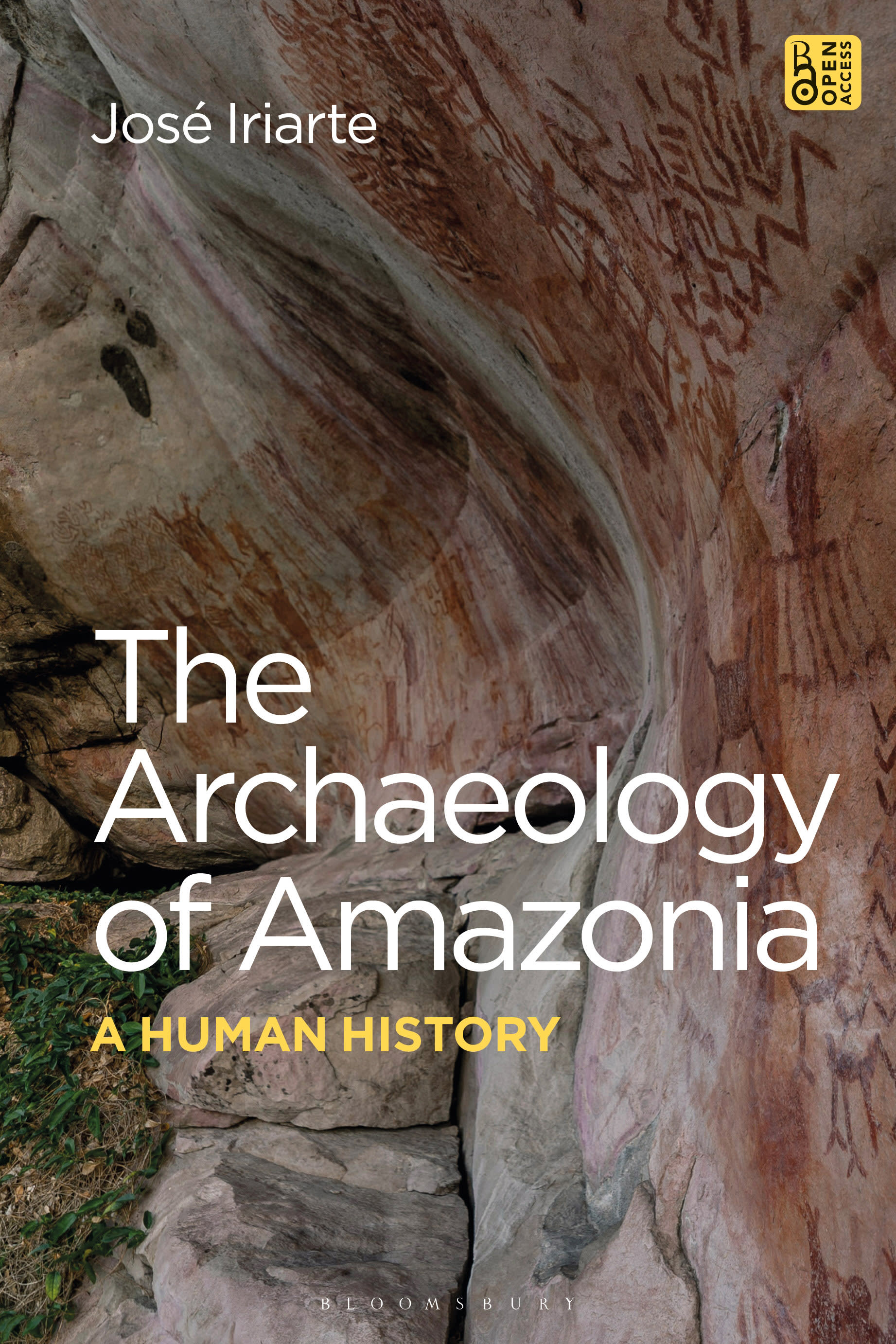 The Archaeology of Amazonia: A Human History book cover