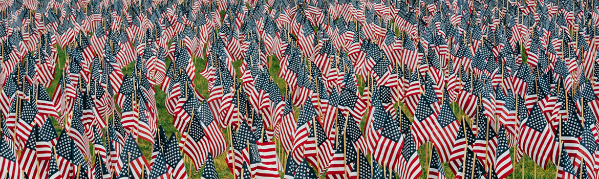 A field of American flags