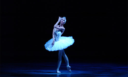 Swan Lake (Bel Air, 2019)