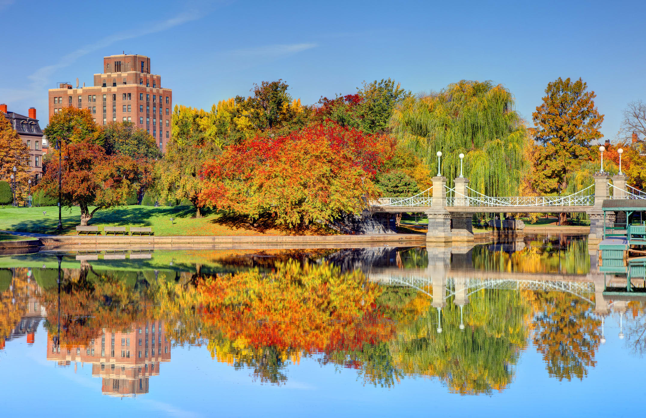 Photo of a sunny day in Boston - image of a lake with a bridge in the background, trees with leaves and blue sky