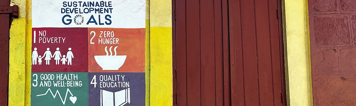 Image of UN Sustainable Development Goals