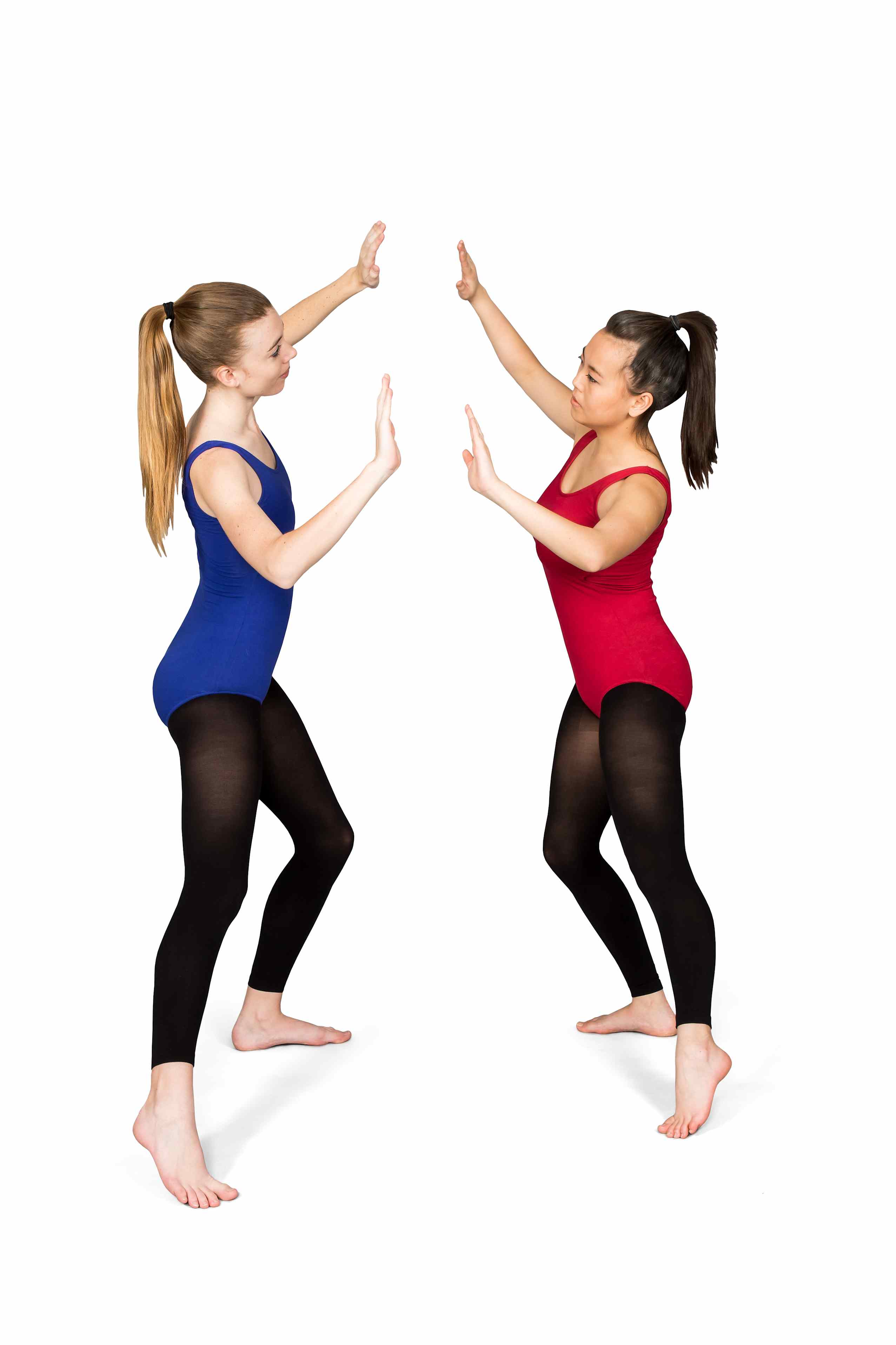 Human Library Platform Mirroring