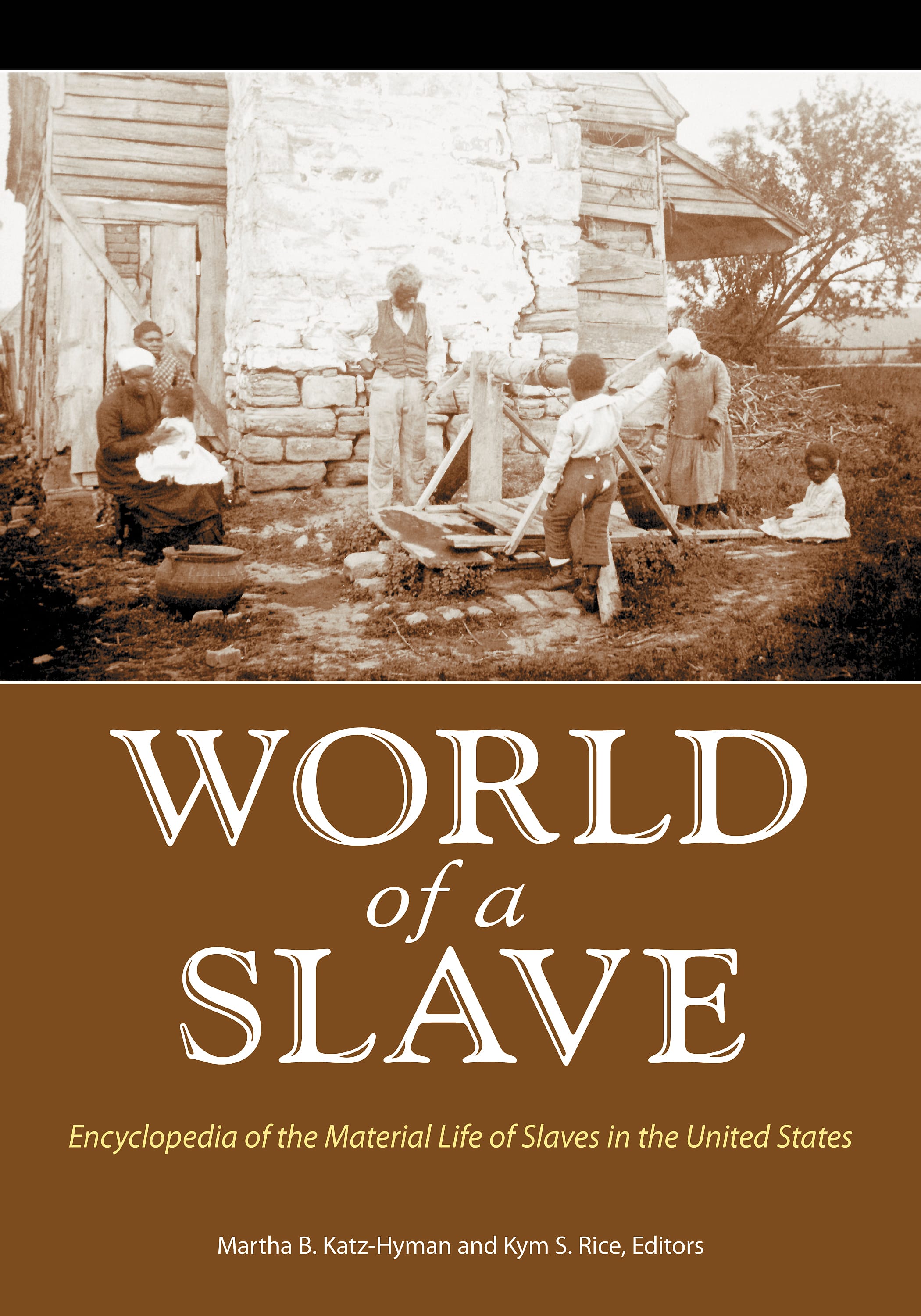 The World of a Slave