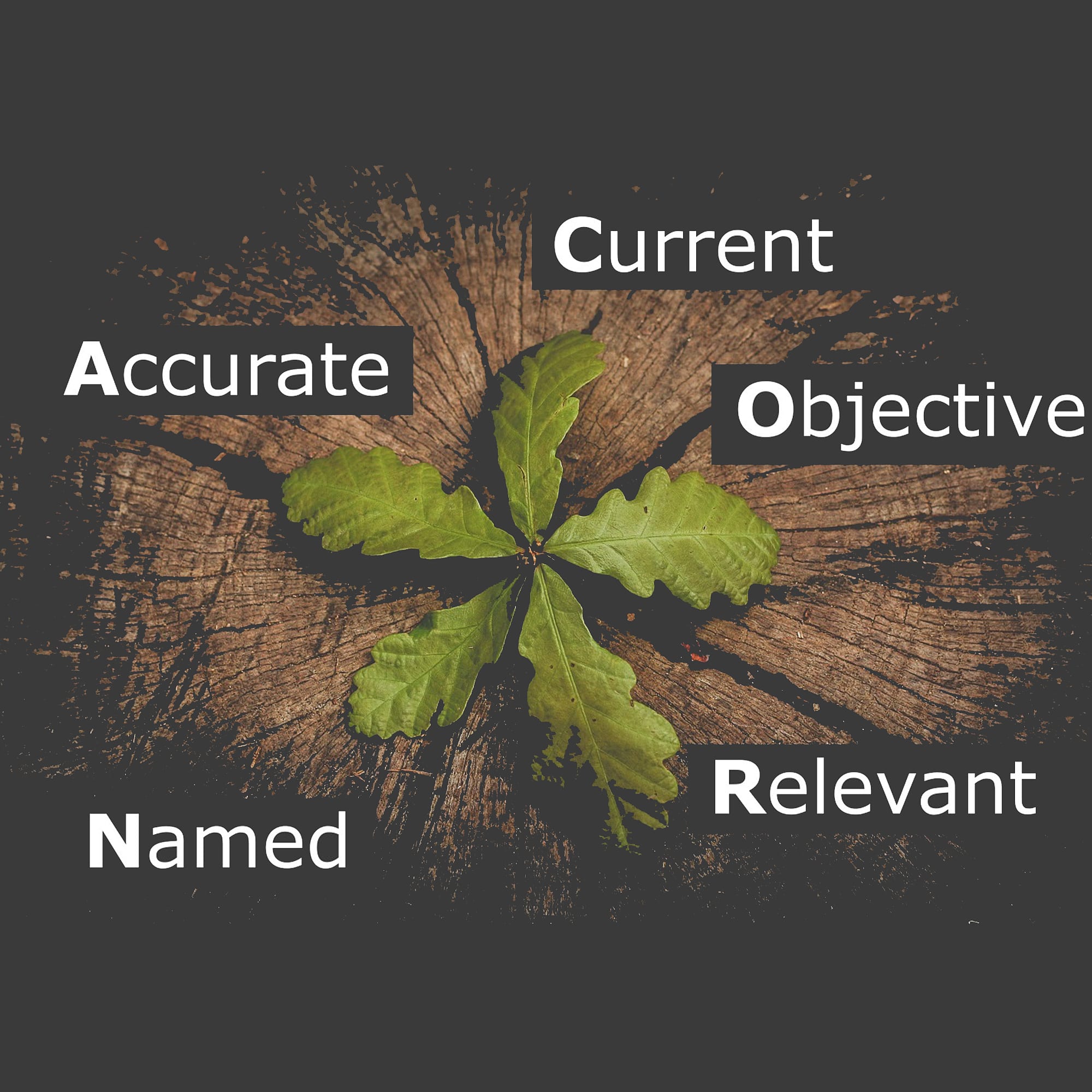 Which sources should you use?