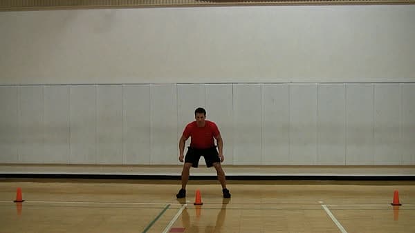 Pro-Agility