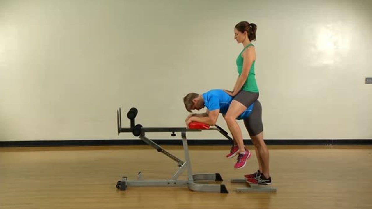 Donkey Calf Raise