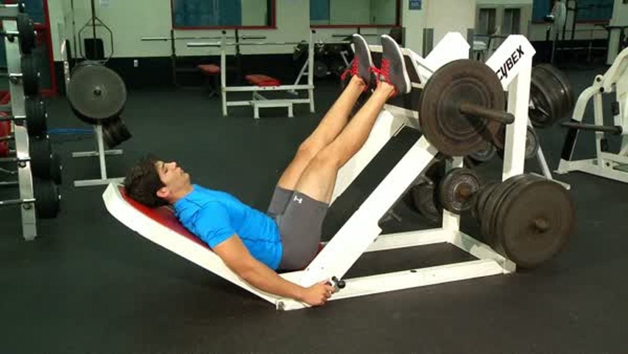 Leg Press
