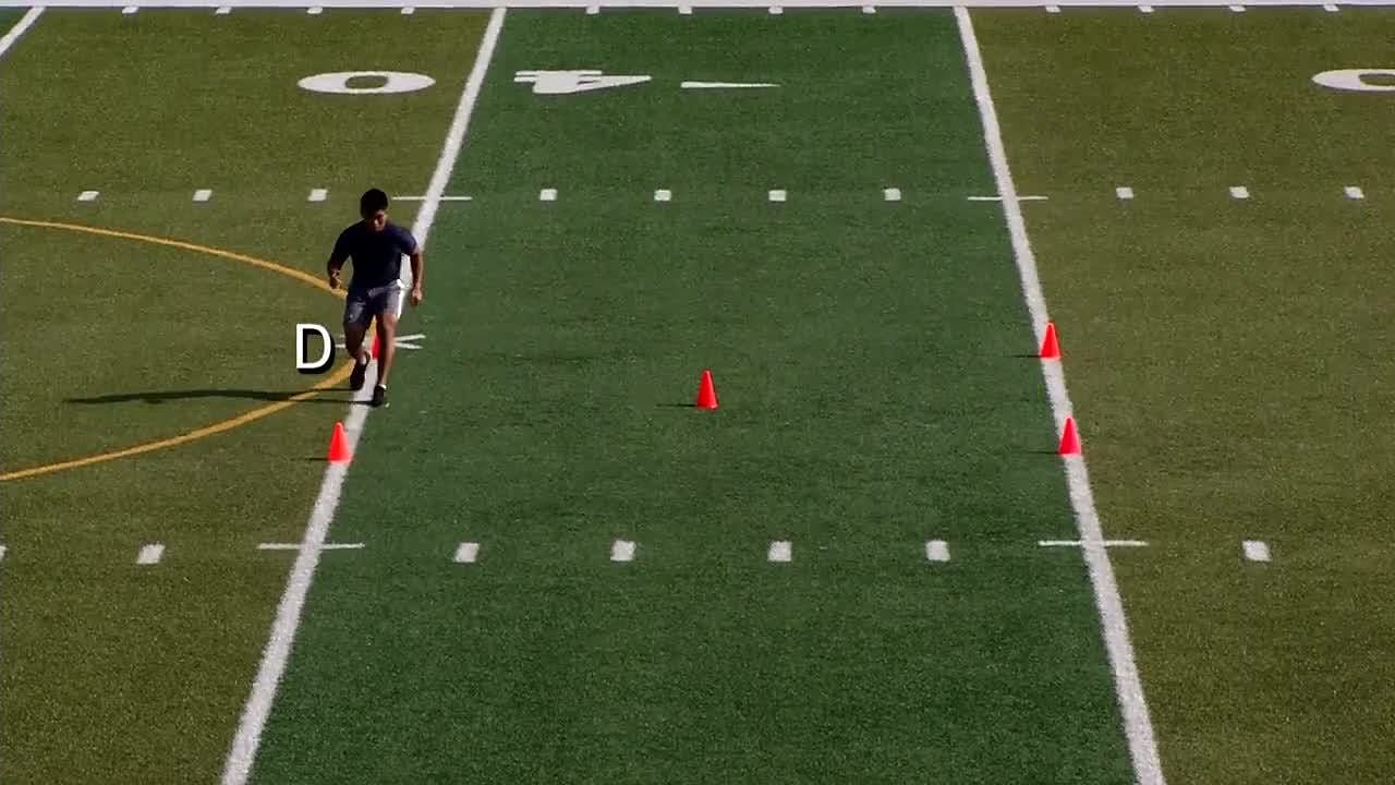 Raise Movement Pattern D