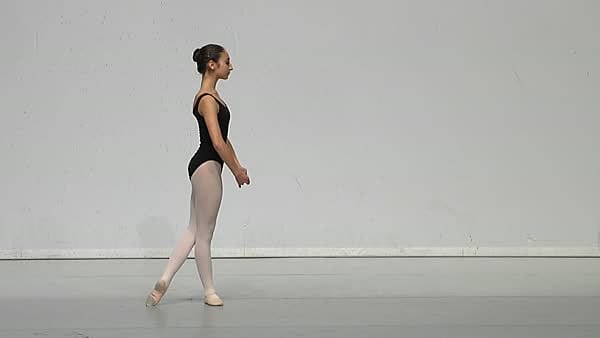 Arabesque Sauté