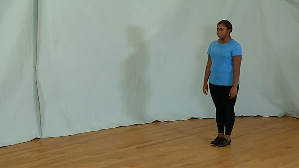 Skip Version 1