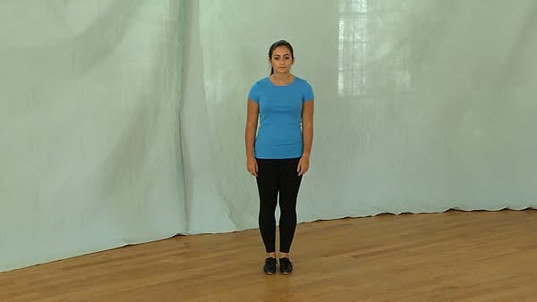 Single Time Step—Buck Time Step