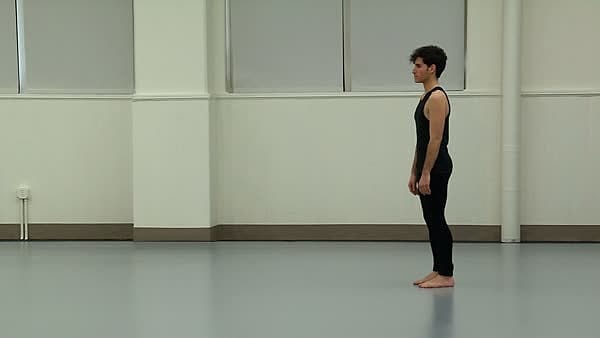 Locomotor Movements