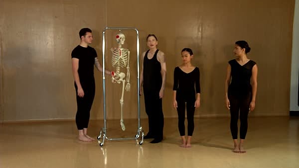 Valgus Angulation