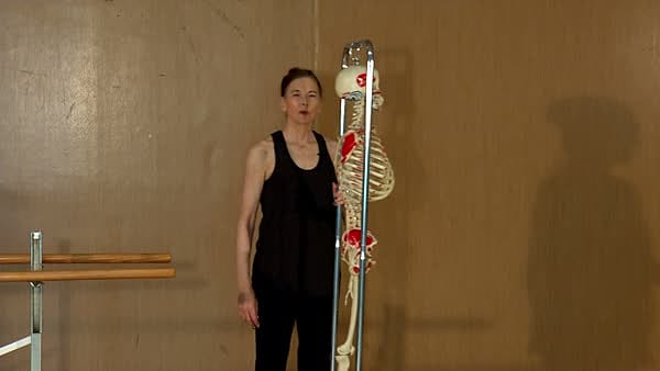 Lift the Upper Spine Up and Back