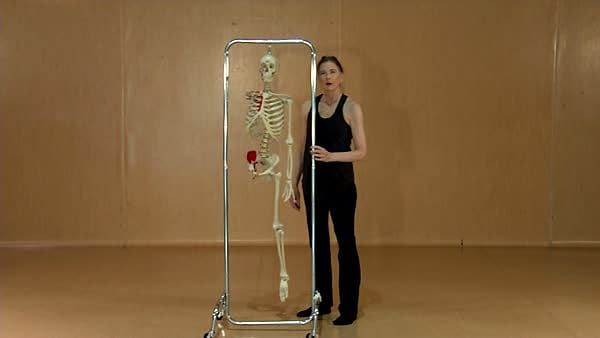 Closed and Open Kinematic Chain Movements