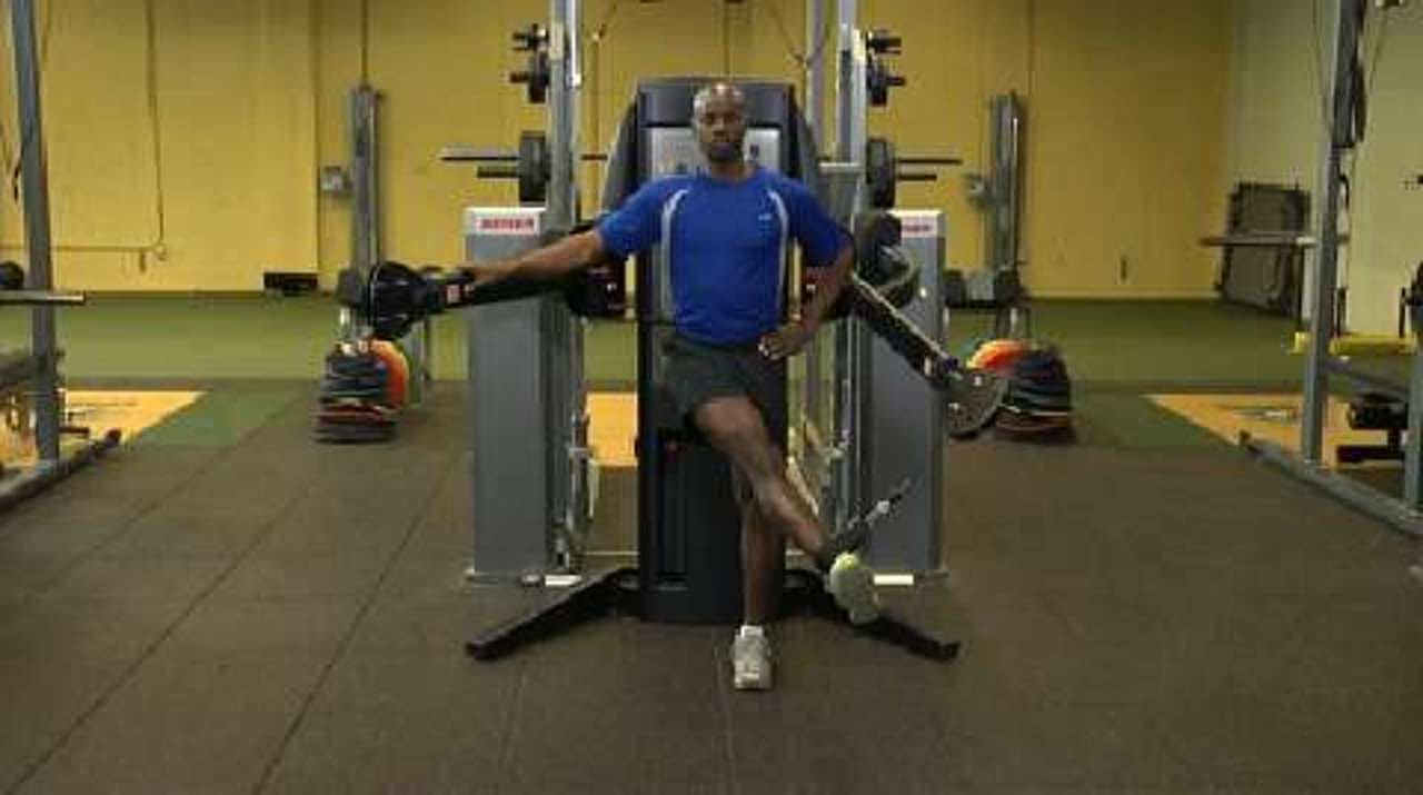 D1 Extension: Legs