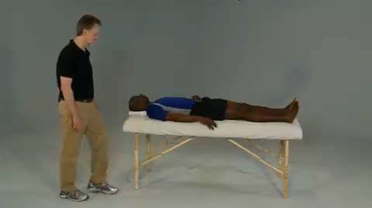 Wrist and Finger Extensors Partner Stretch, Supine
