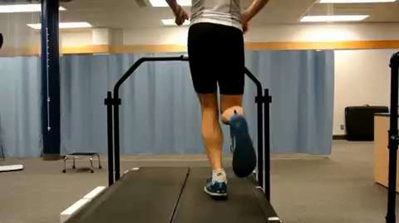 Typical knee mechanics, posterior view