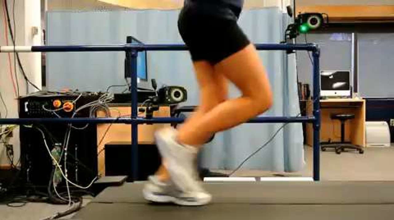 Typical foot mechanics, sagittal view