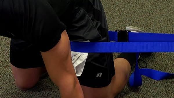 Hip Distraction in Quadruped