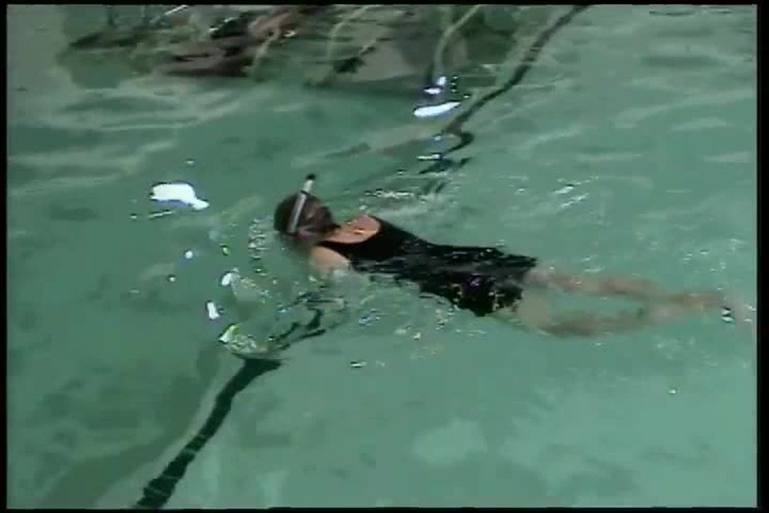 Snorkel Stroke