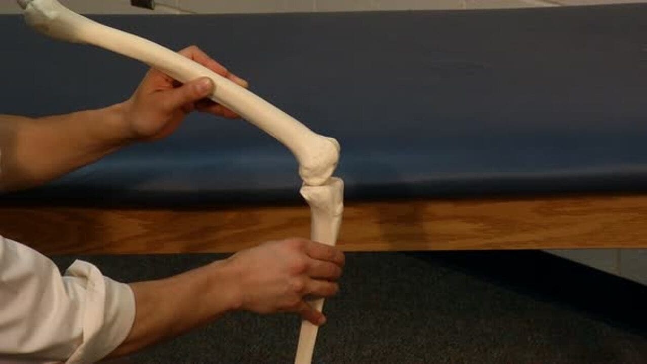 Arthrokinematics of roll, glide, spin